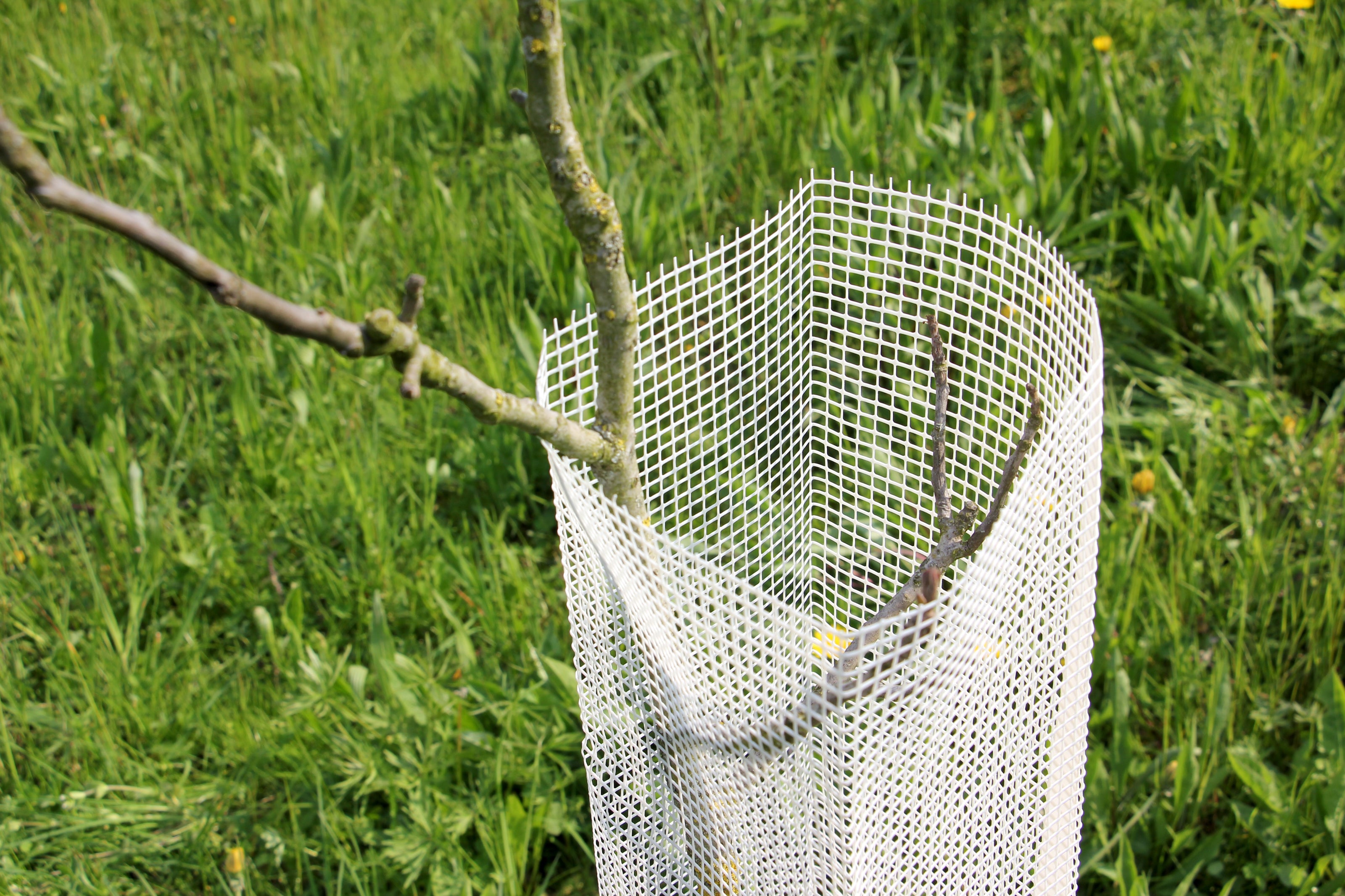 Shelter Bio SilTech 200 Arbrì – Rete biodegradabile tecnica per piante