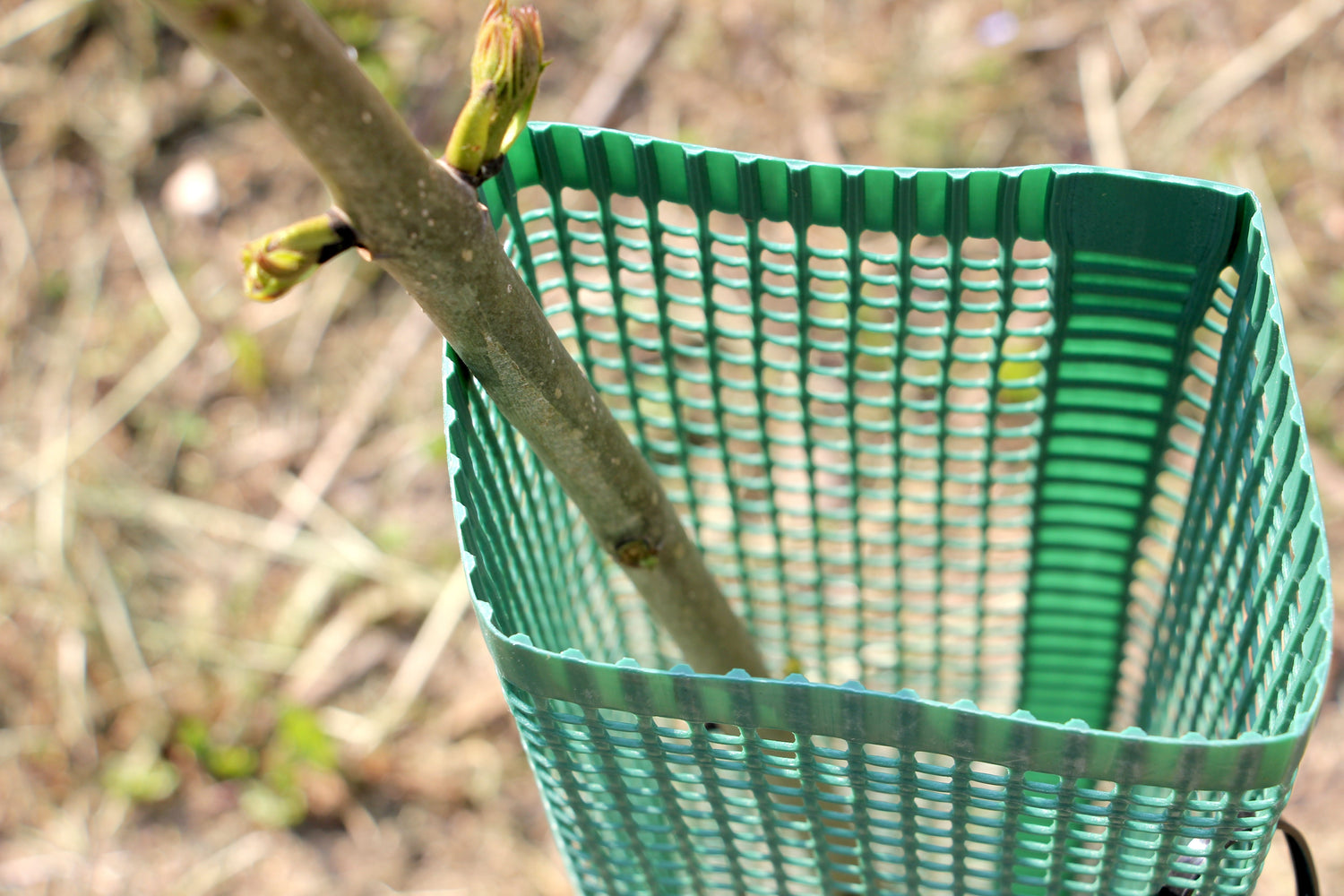 Shelter SilTech 120: quando la protezione meccanica fa la differenza nel Waldumbau tedesco