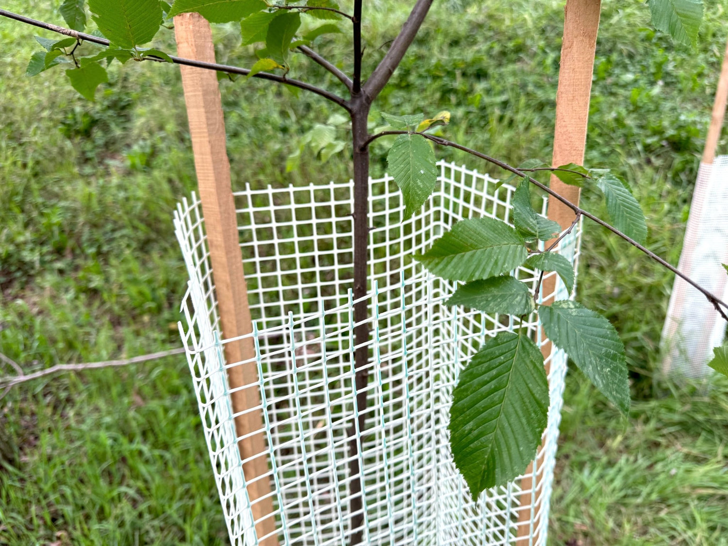 BioSilTech 300: sostenibilità ecologica ed economica