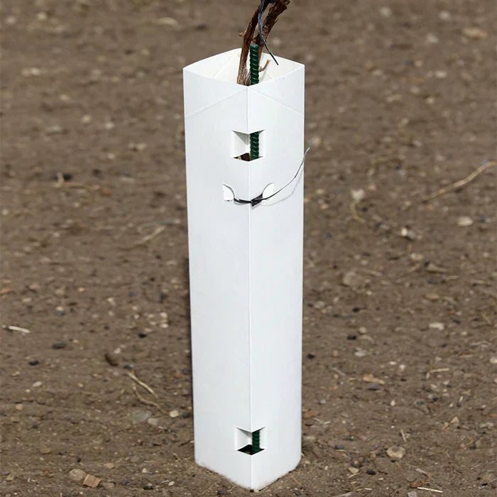 Shelter biodegradabili in carta