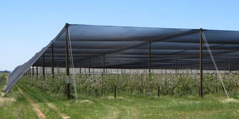 SolarNet PRO – Rete ombreggiante professionale serra e vivaio