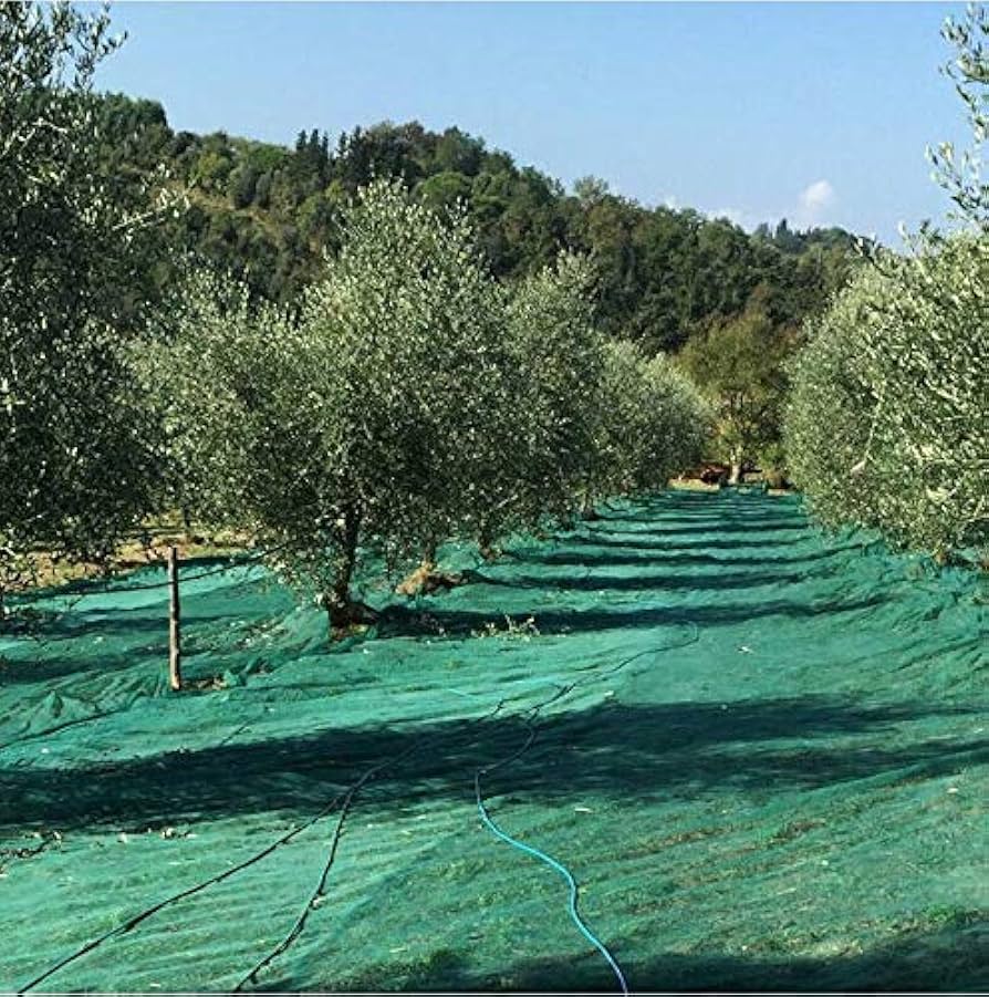 OliveNet Light – Filet léger pour la récolte des olives