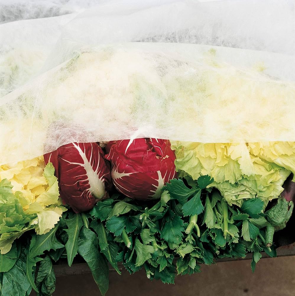 HortiVelo - Schützender, frostbeständiger Vliesstoffschleier 