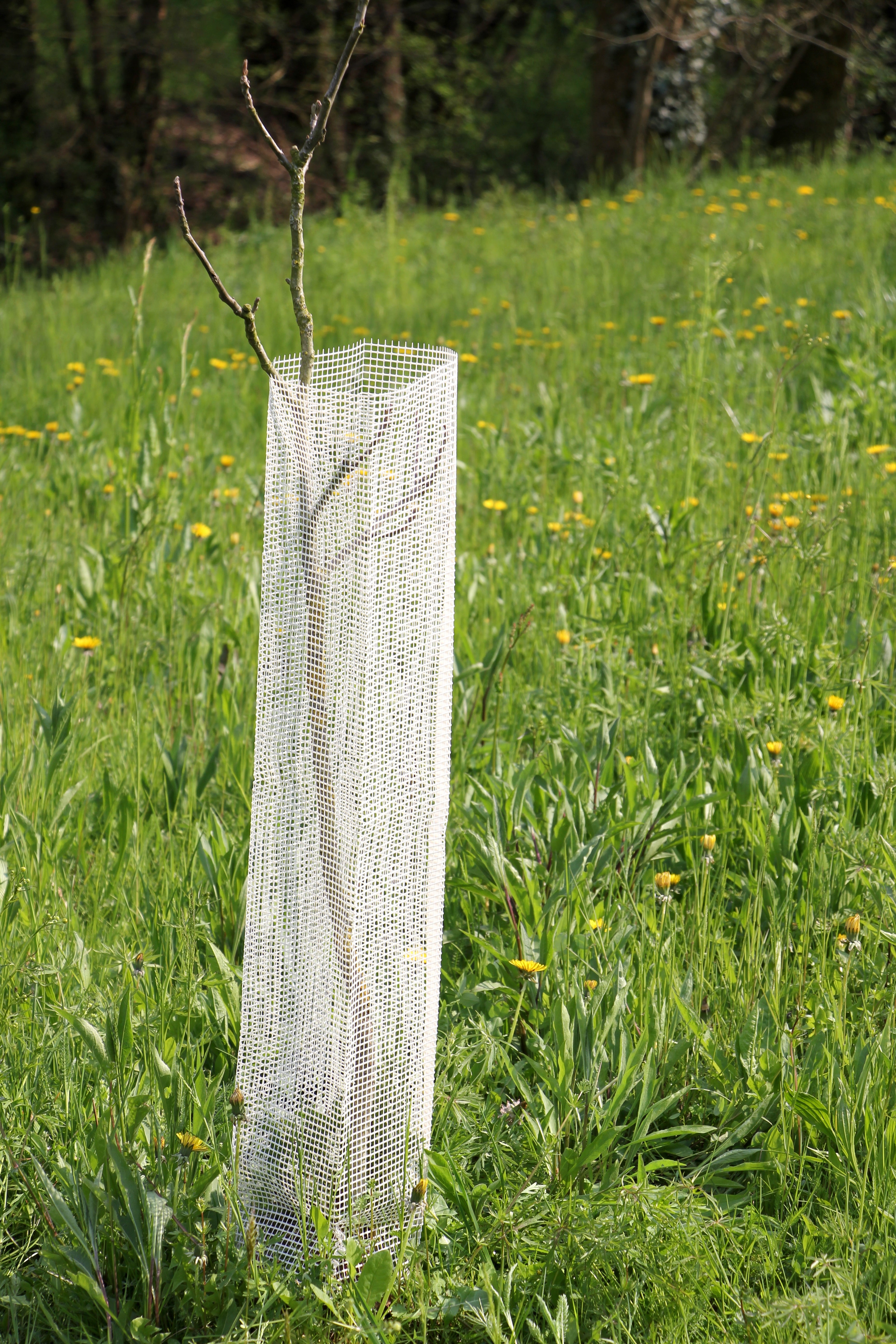 Shelter Bio SilTech 200 Arbrì – Rete biodegradabile tecnica per piante