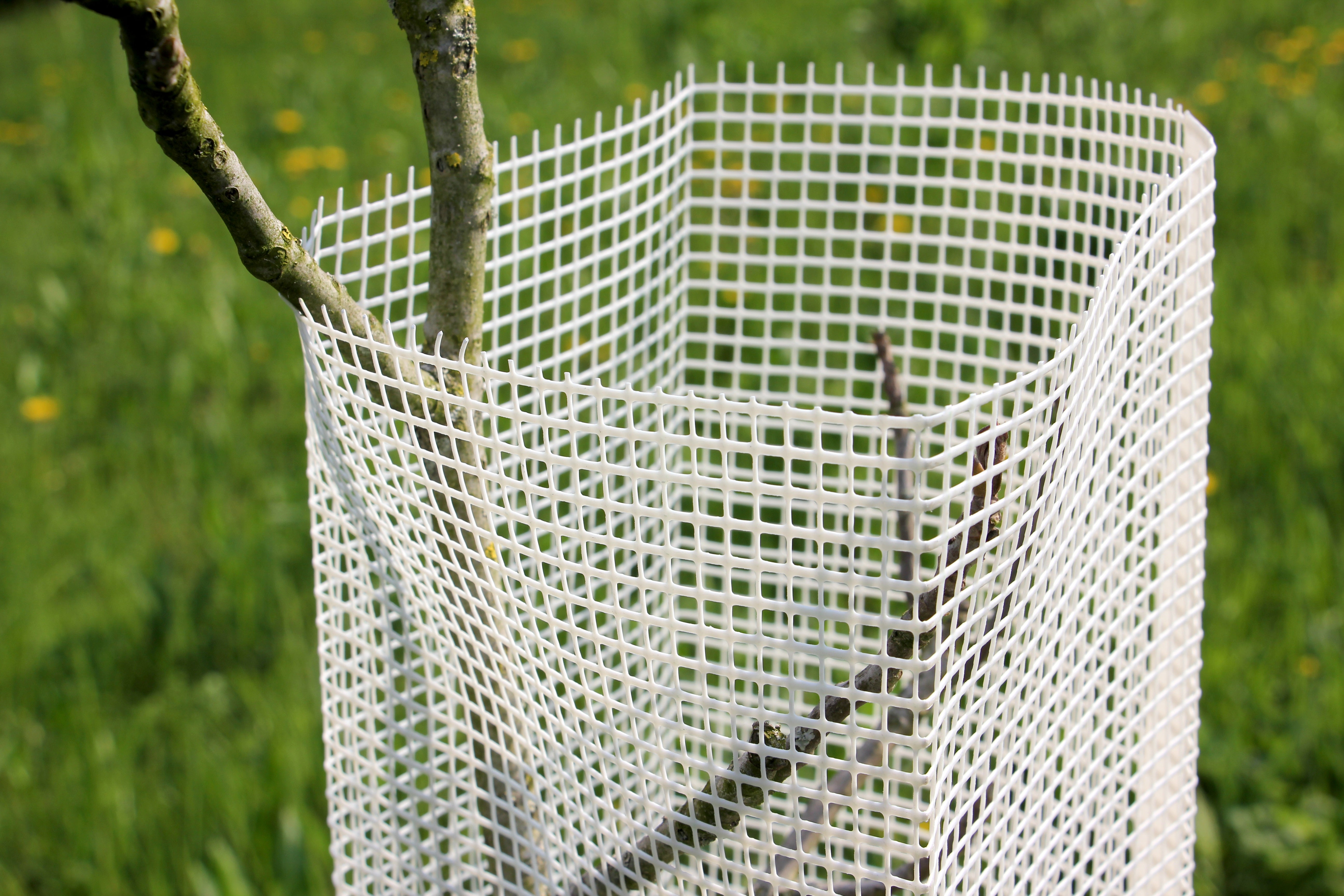 Shelter Bio SilTech 200 Arbrì – Rete biodegradabile tecnica per piante