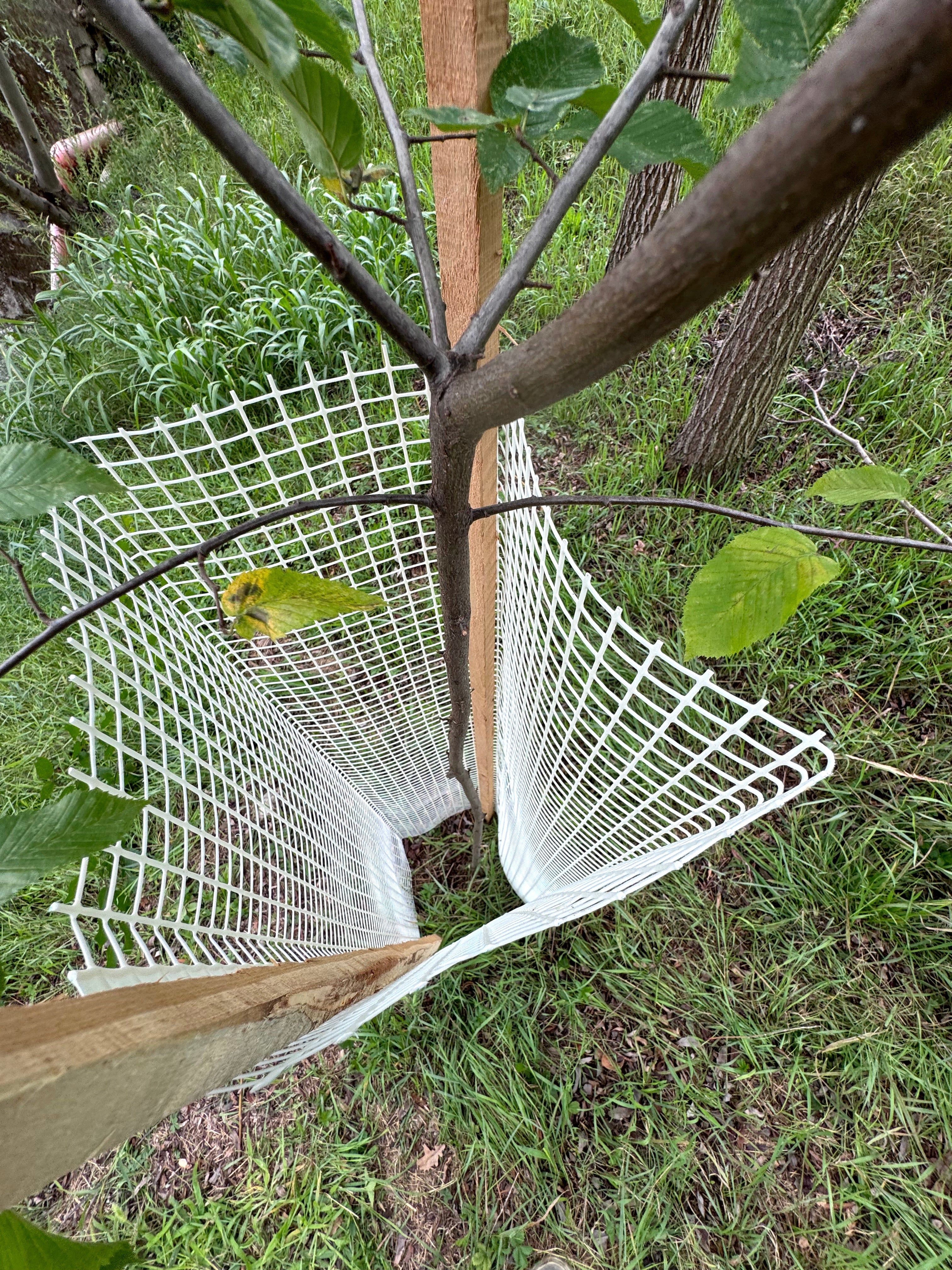 Shelter Bio SilTech 300 – Maximum biodegradable protection for forestry facilities