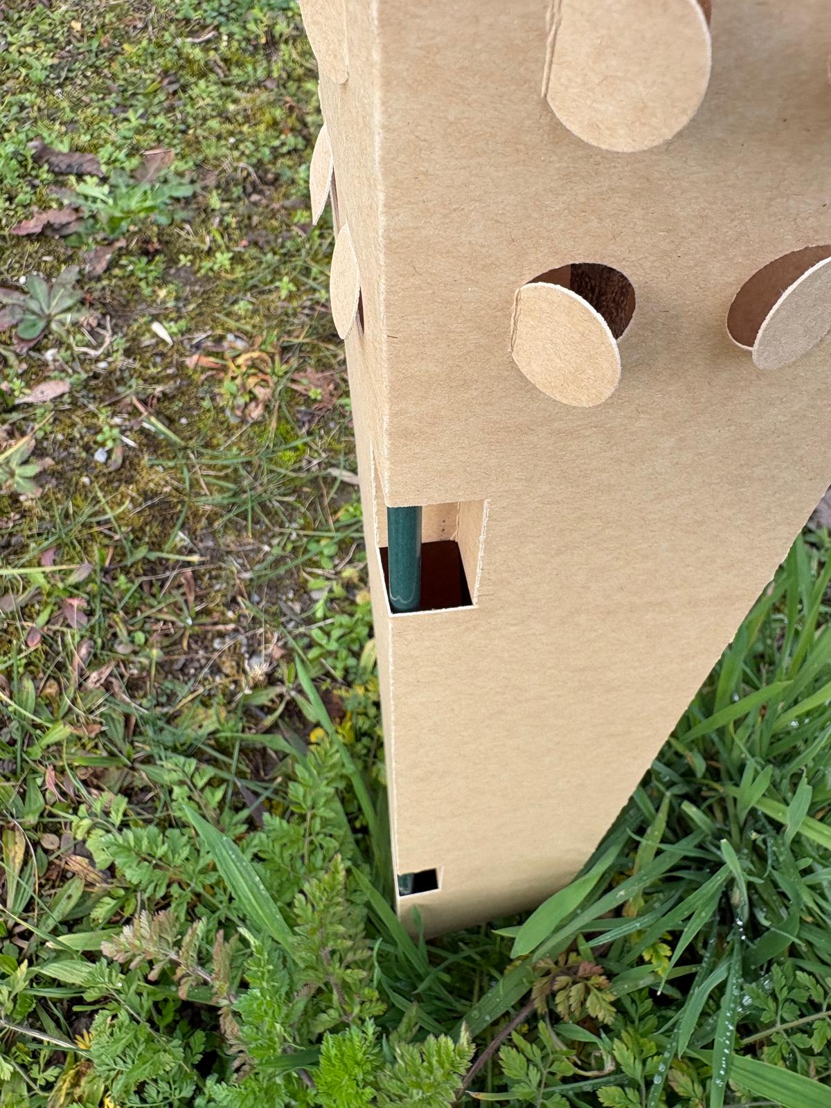 BioPaperTube – Biologisch abbaubare Papierhülle – 10 x 10 cm – 50er-Packung 