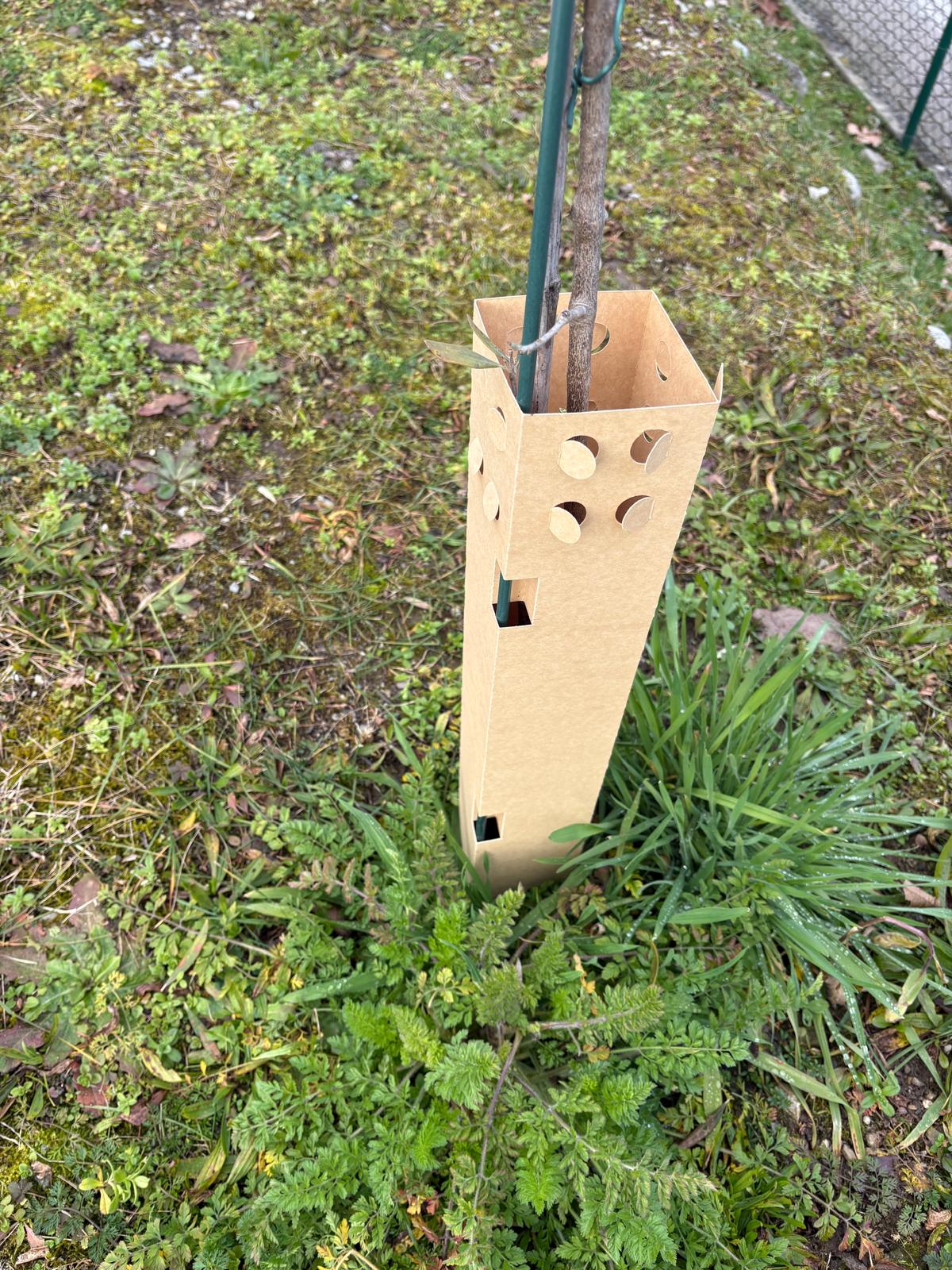 BioPaperTube – Biologisch abbaubare Papierhülle – 10 x 10 cm – 50er-Packung 