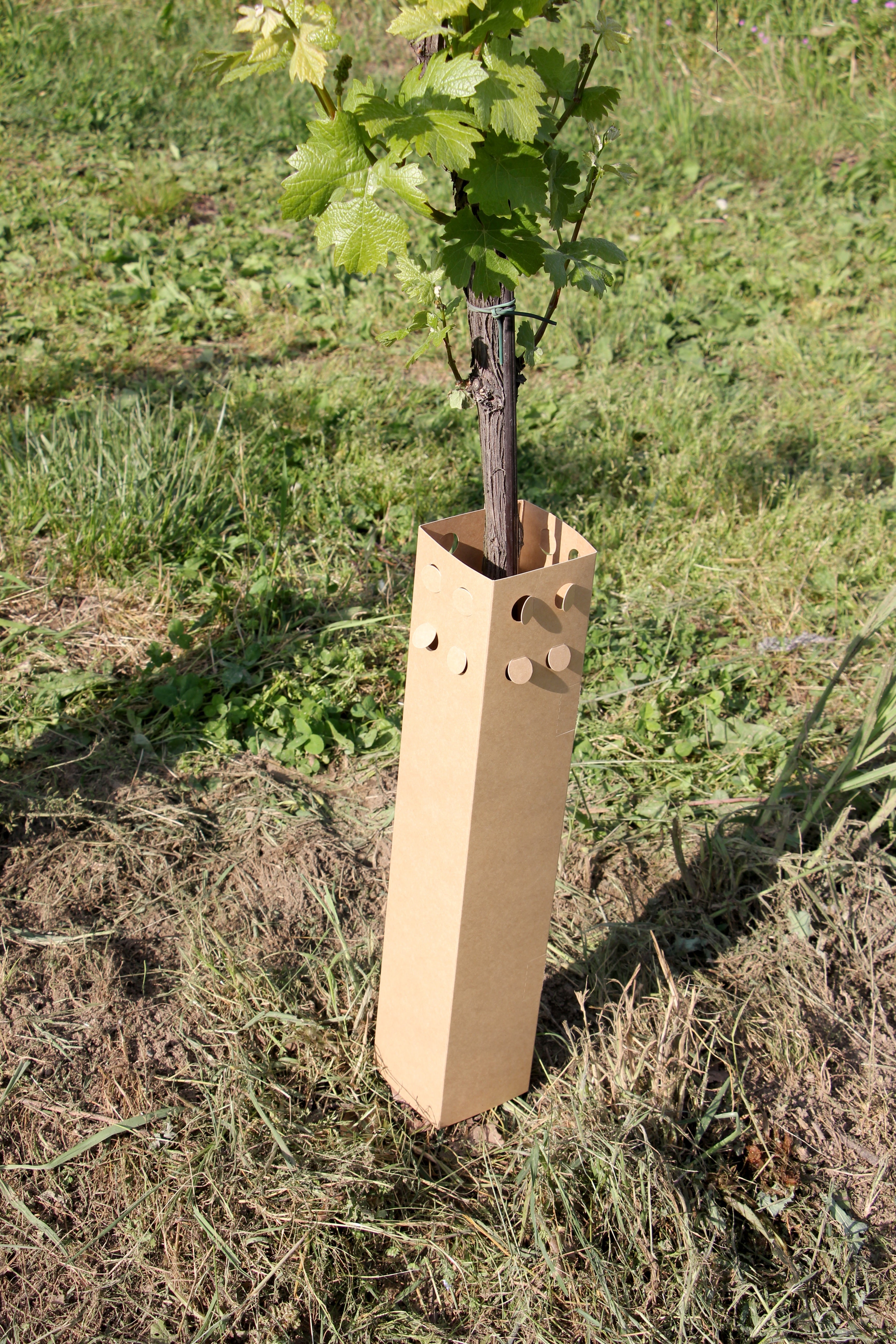 BioPaperTube - Shelter biodegradabile in carta - 10x10cm