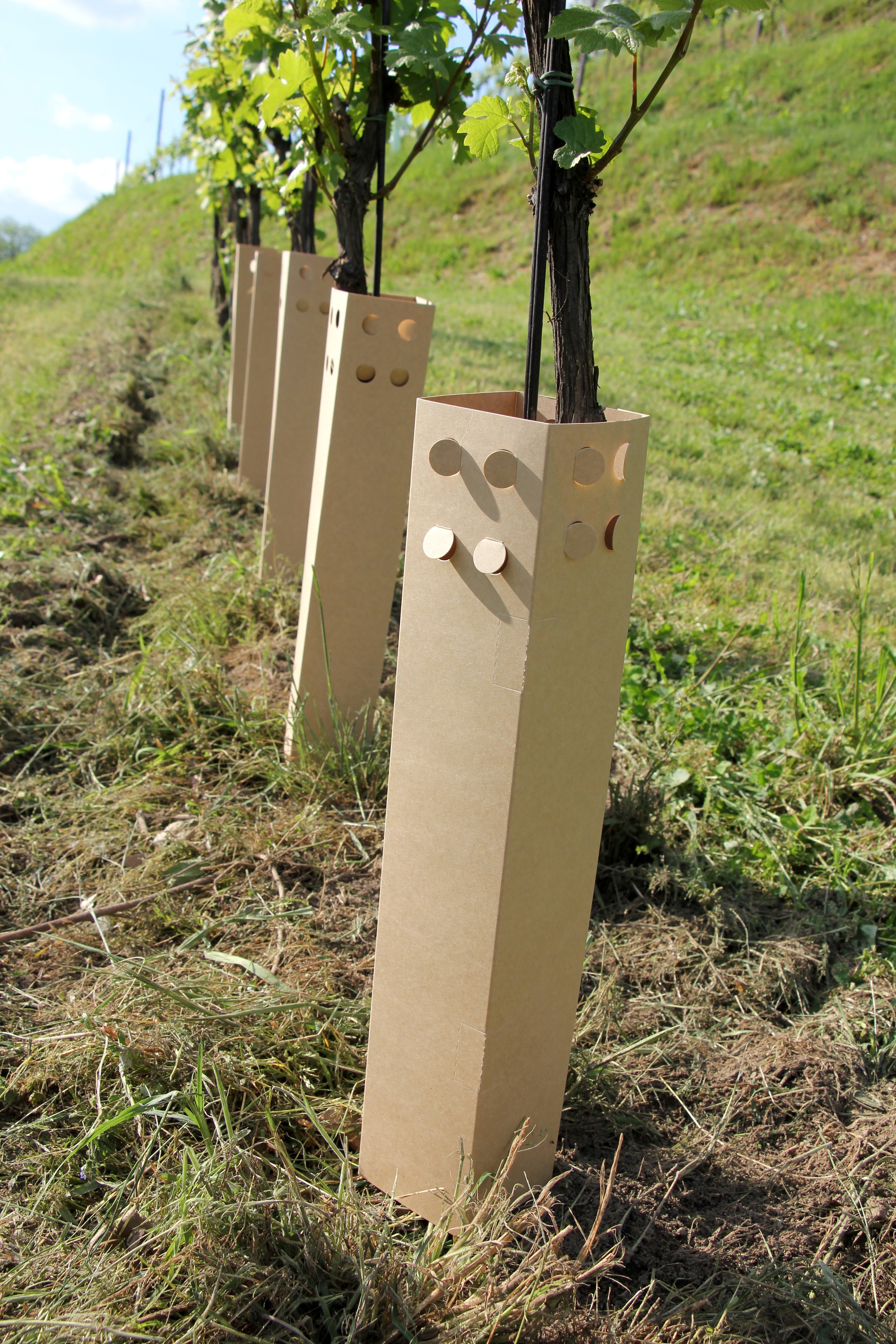 BioPaperTube - Shelter biodegradabile in carta - 10x10cm