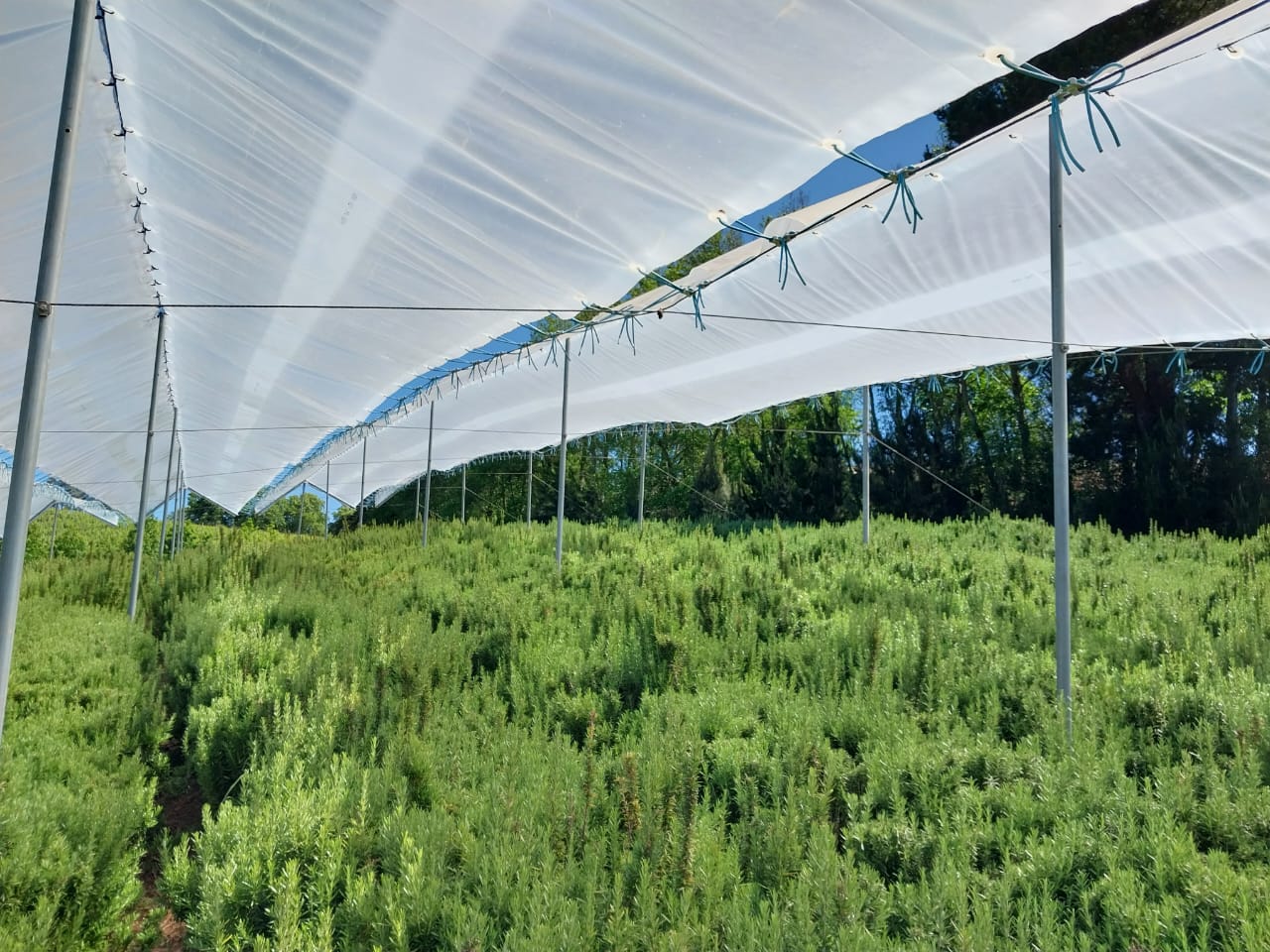 Regen- und Windschutzplanen