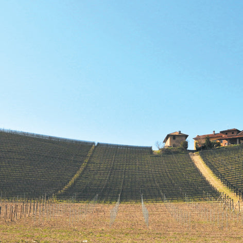 Protecta ULTRA – Rete antigrandine monofilo LenoWave per frutteto e vigneto