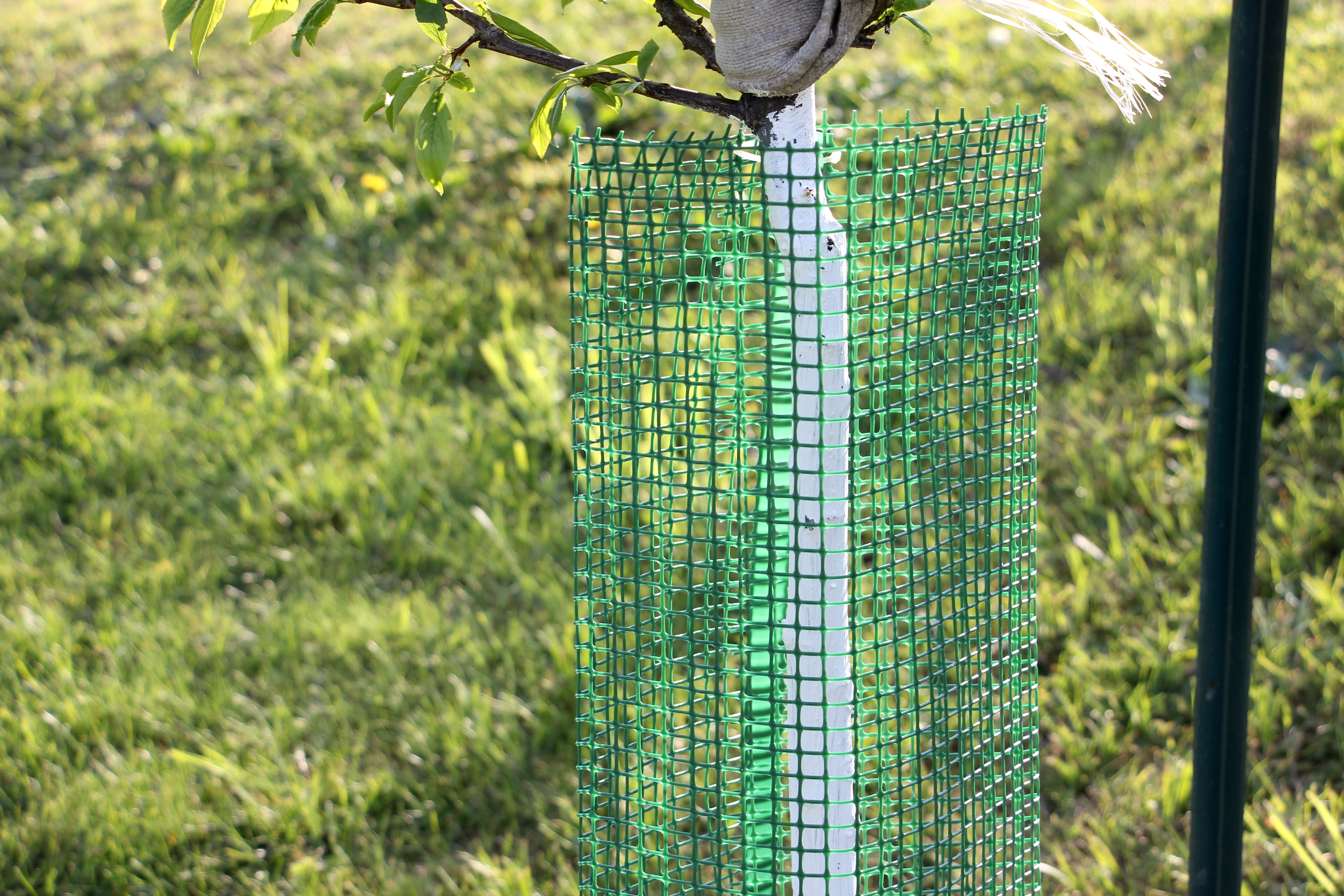 Shelter SilTech 200 Arbrì, rete ad alte prestazioni con tecnologia SilTech®. Ideale per progetti forestali. Tre formati disponibili.