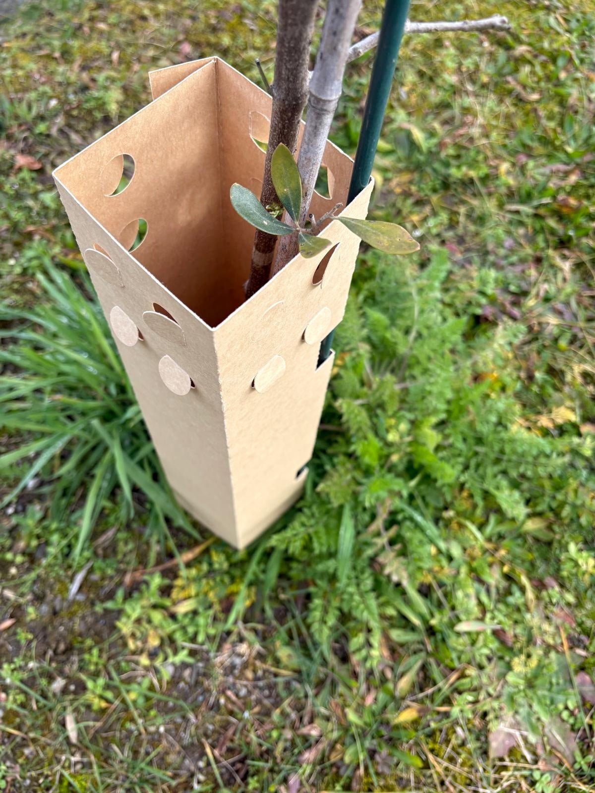 BioPaperTube - Shelter biodegradabile in carta - 10x10cm - Arbri Store - 