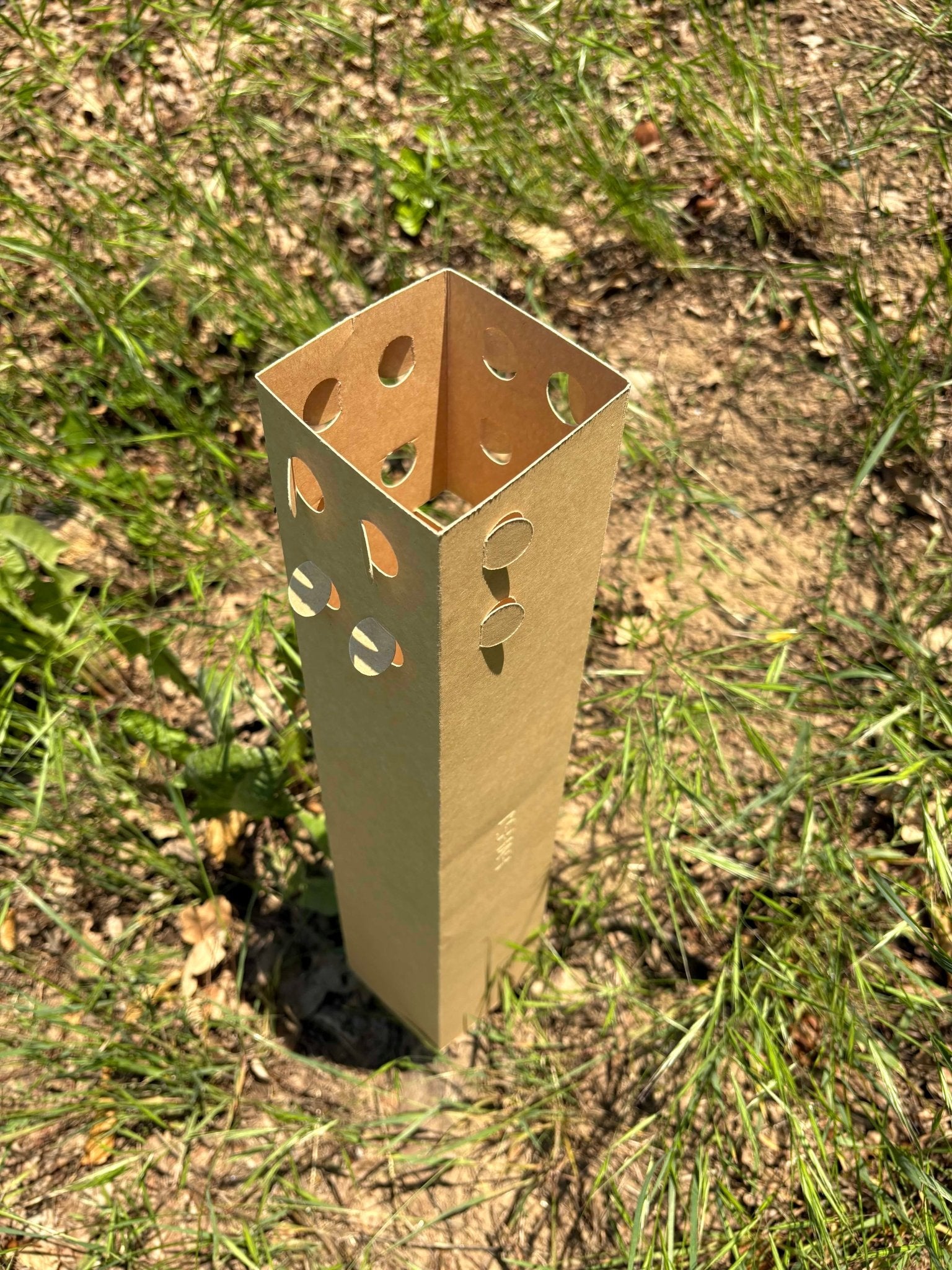 BioPaperTube - Shelter biodegradabile in carta - 10x10cm - Arbri Store - Supporti per piante