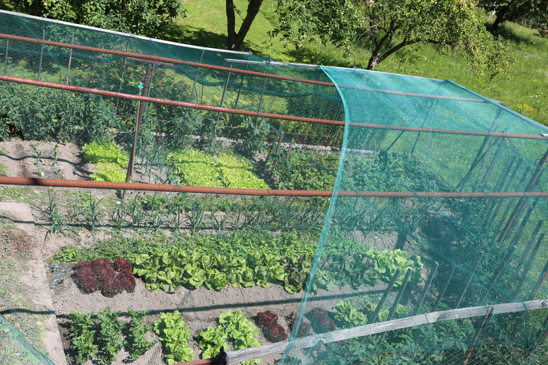 Protecta – Rete antigrandine per giardino e orto