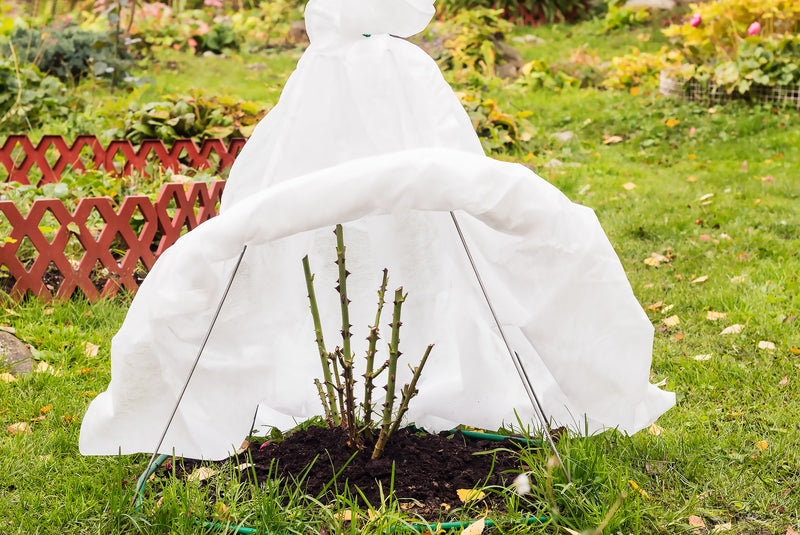 HortiVelo - Schützender, frostbeständiger Vliesstoffschleier 