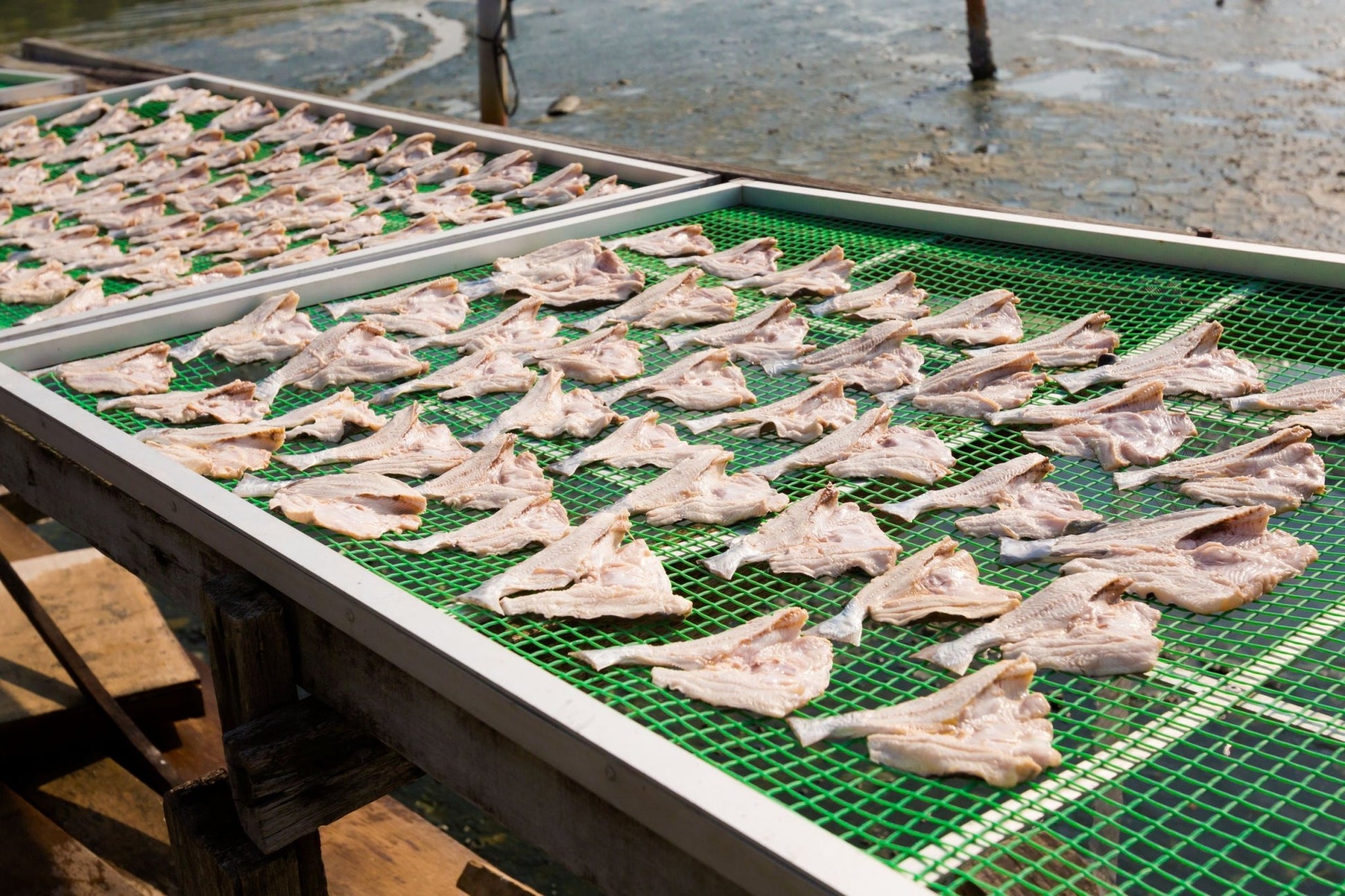 DryNet™ – Rete per essiccazione alimenti - Arbri Store - rete in plastica