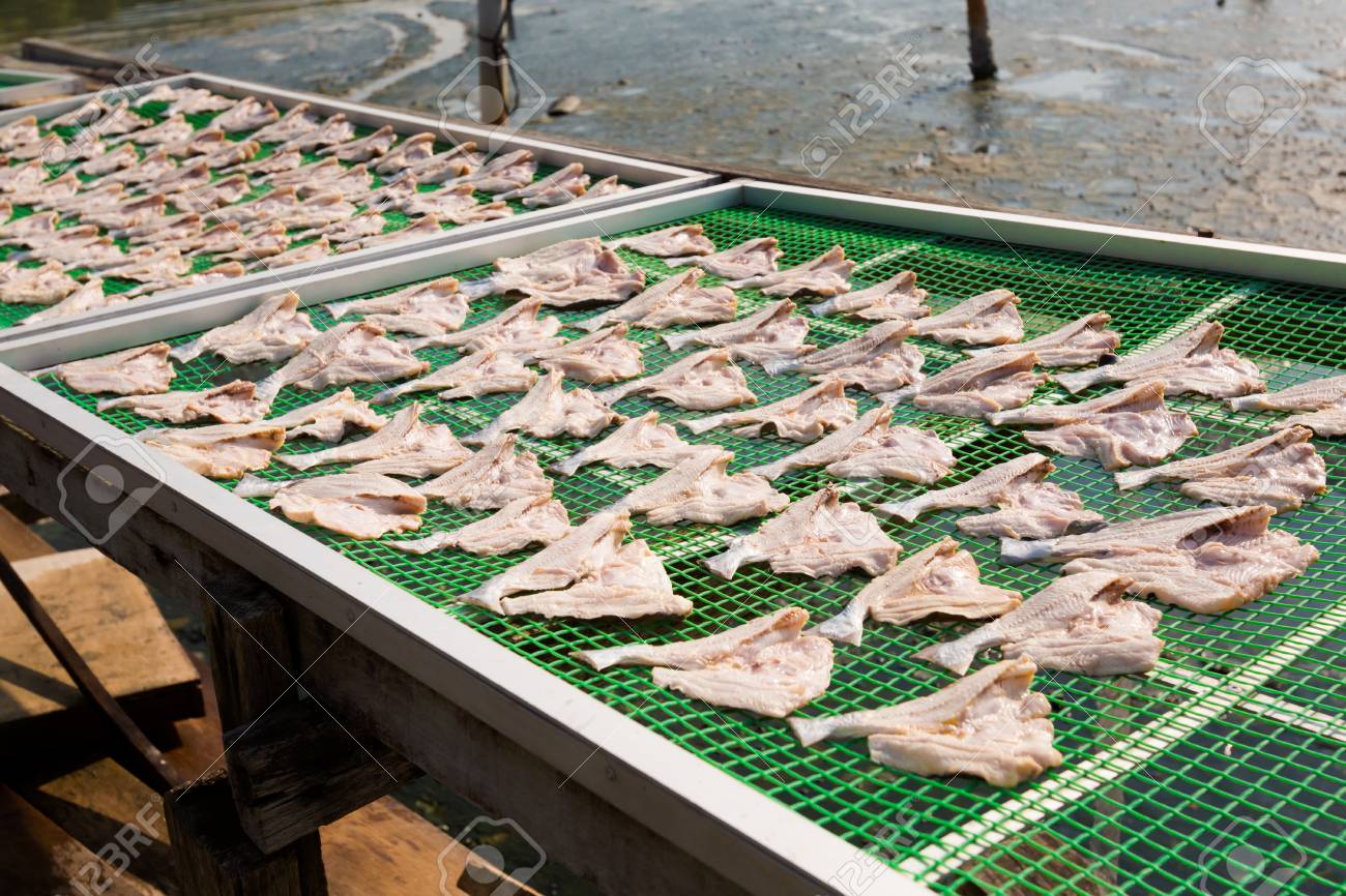 DryNet™ – Rete per essiccazione alimenti - Arbri Store - rete in plastica