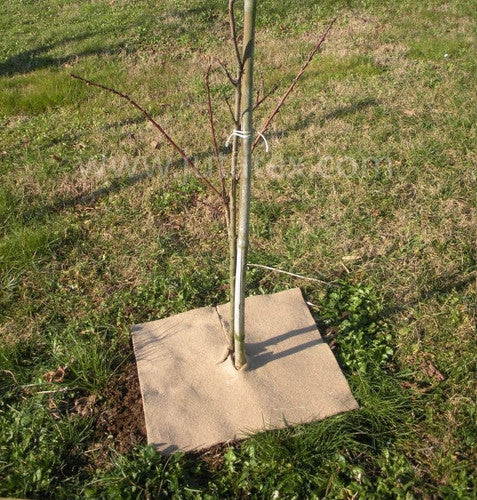 Feltro pacciamatura in fibra naturale 400g/m²