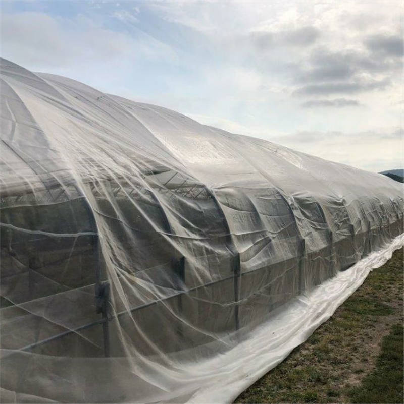 InsectNet – Rete antinsetto a maglia fine per frutteto e vigneto