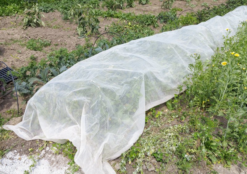 HortiVelo 17 – Velo antigelo TNT 17 g/m² - Arbri Store - Veli antigelo
