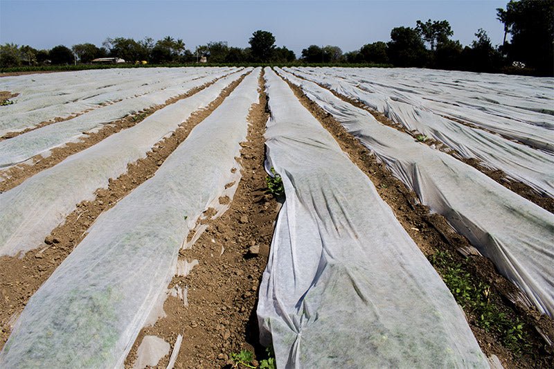 HortiVelo PRO 30 – Velo antigelo TNT 30 g/m² professionale - Arbri Store - Veli antigelo