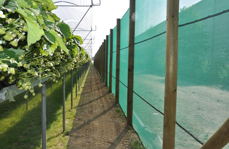 WindNet – Rete frangivento per frutteto, vigneto e vivaio