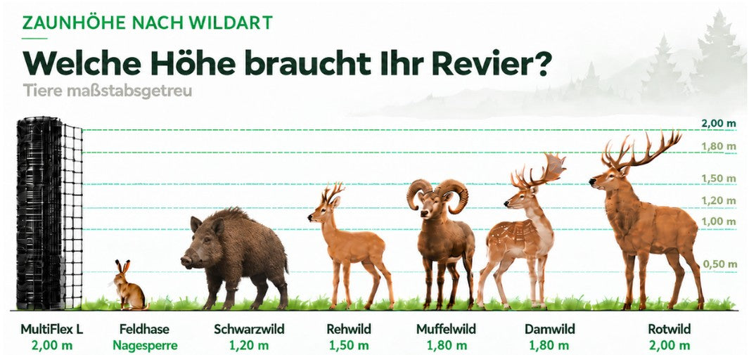 Altezza recinzione consigliata per specie