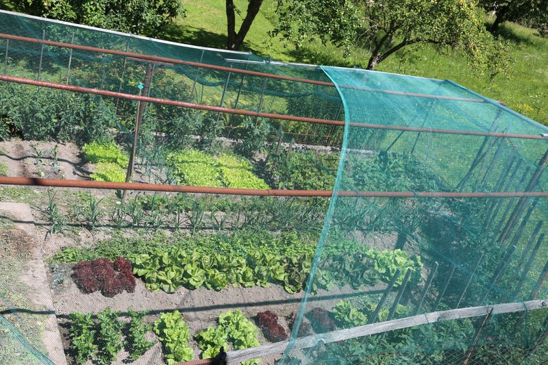 Protecta – Rete antigrandine per giardino e orto - Arbri Store - Reti antigrandine