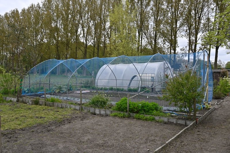 Protecta – Rete antigrandine per giardino e orto - Arbri Store - Reti antigrandine