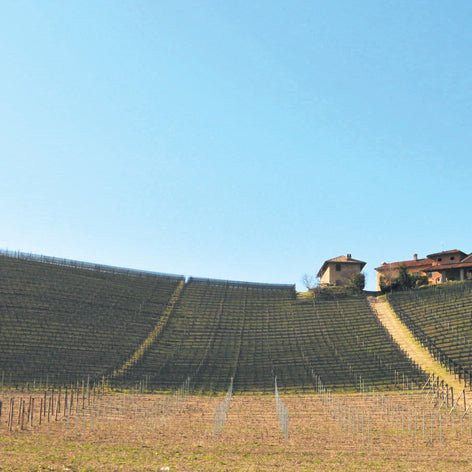 Protecta ULTRA – Rete antigrandine monofilo LenoWave per frutteto e vigneto - Arbri Store - Reti antigrandine
