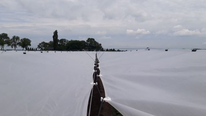 RainCover – Telo antipioggia anti - cracking per frutteto - Arbri Store - Telo antipioggia