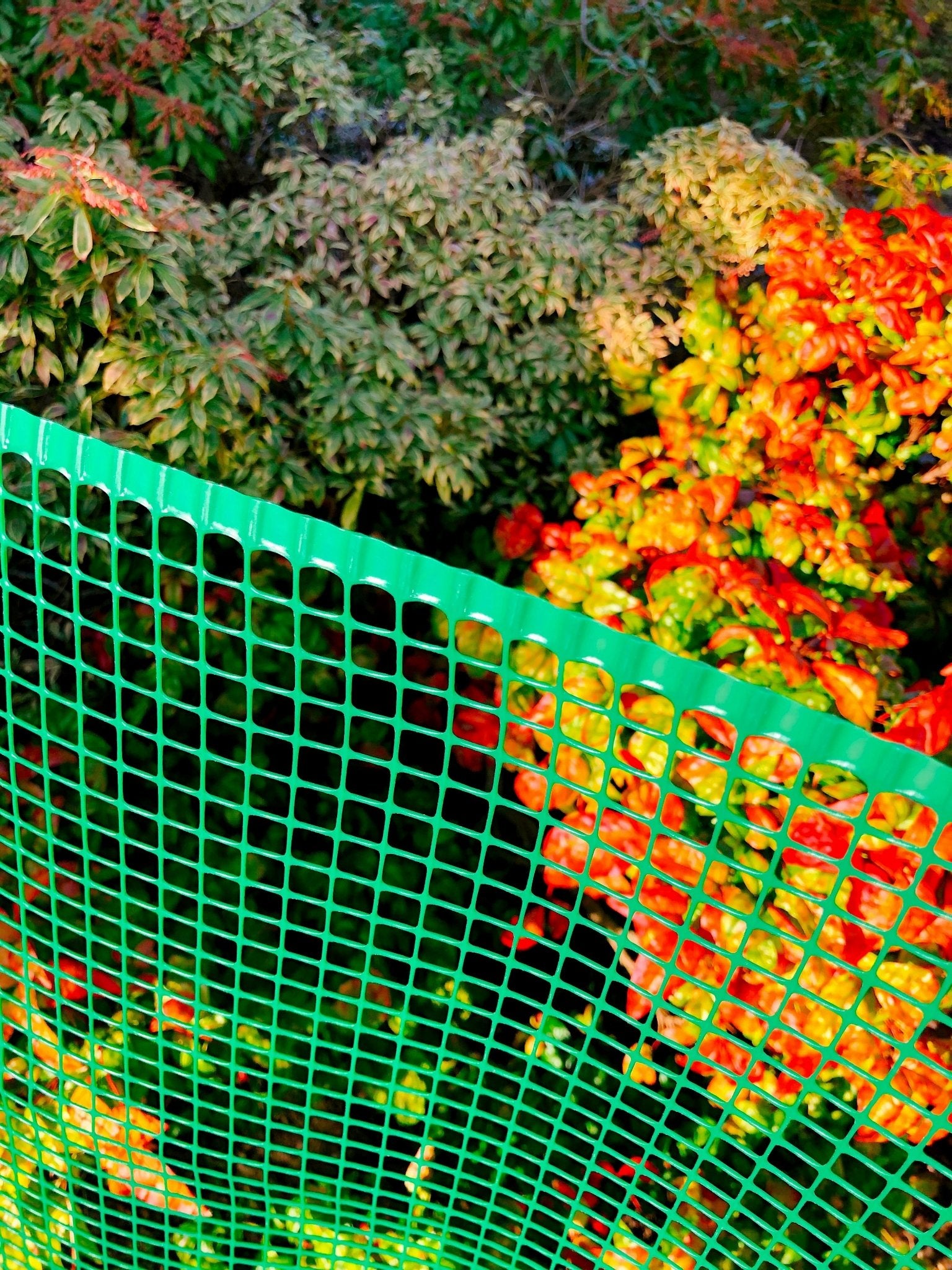 Recynet 10 – Rete quadra in HDPE 250g/m², maglia 10x10mm - Arbri Store - rete in plastica