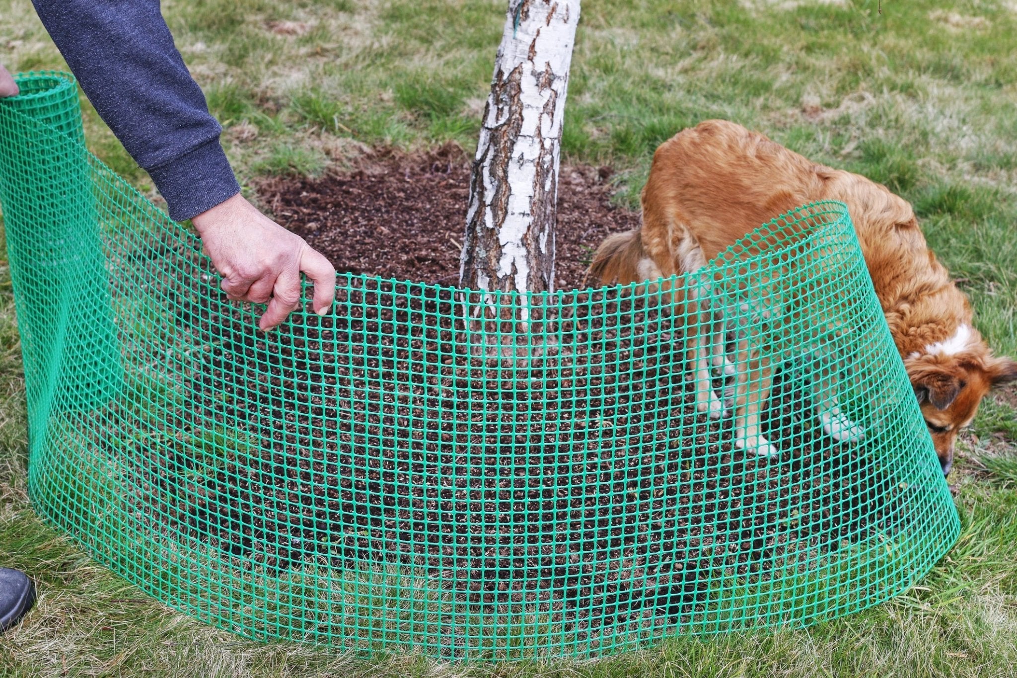 Recynet 20 – Rete quadra in HDPE 250g/m², maglia 20x20mm - Arbri Store - rete in plastica