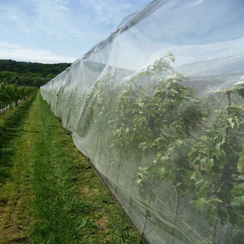 InsectNet – Rete antinsetto a maglia fine per frutteto e vigneto