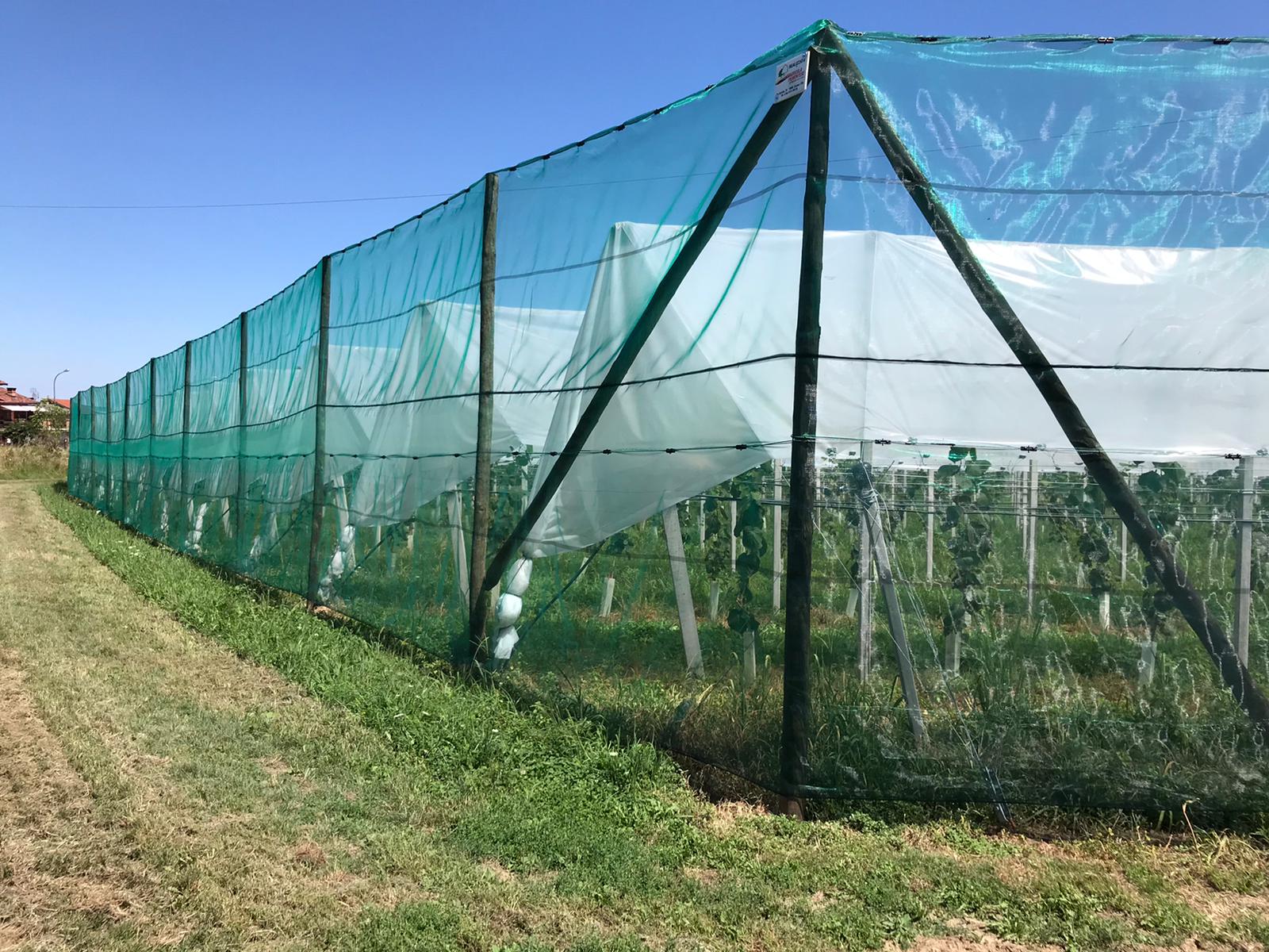 WindNet – Rete frangivento per frutteto, vigneto e vivaio