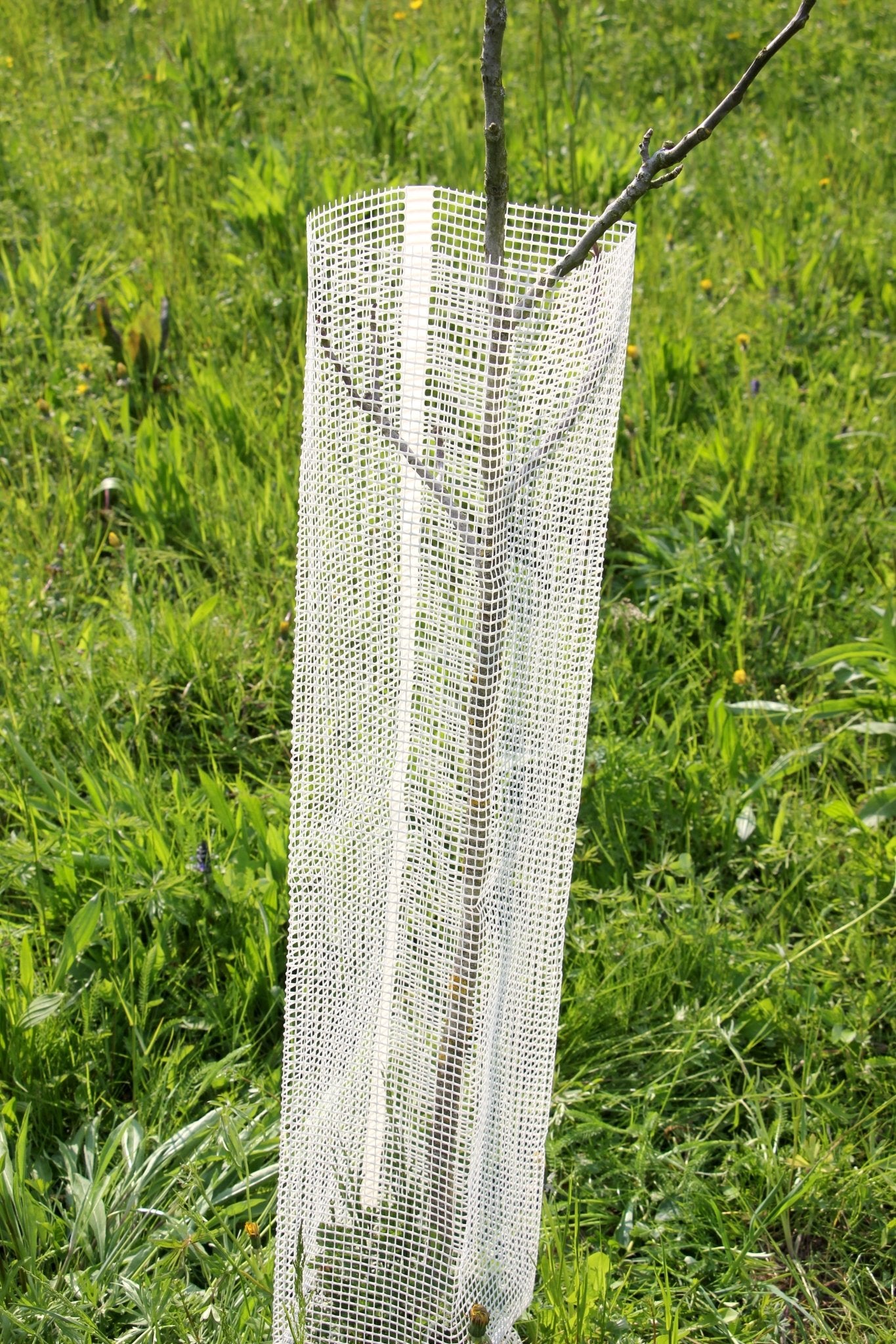 Shelter Bio SilTech 200 – Protezione biodegradabile tecnica per impianti professionali - Diam. 200mm - Arbri Store