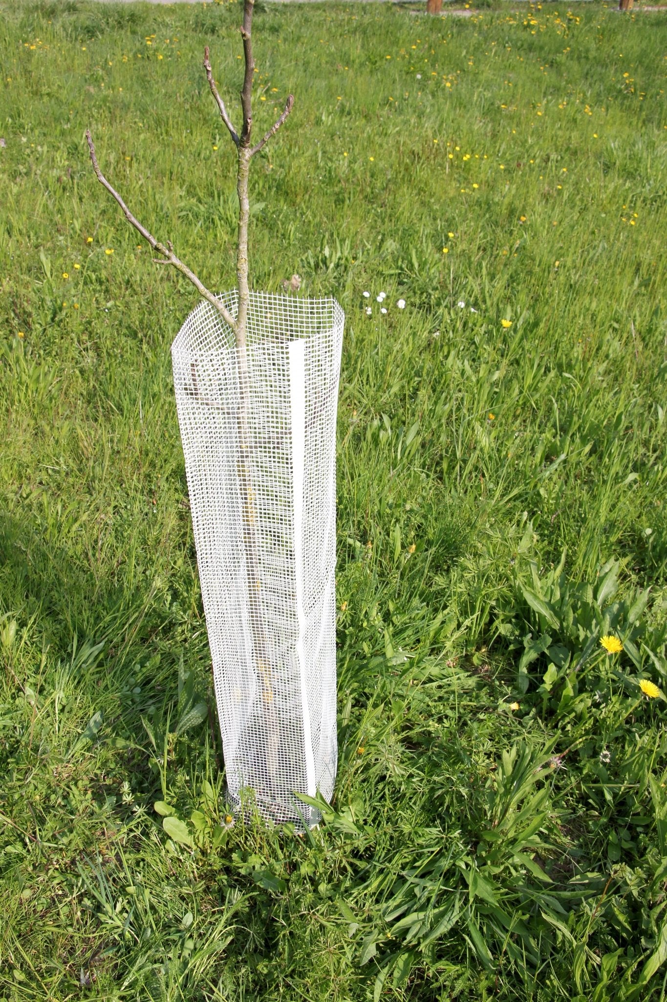 Shelter Bio SilTech 200 – Protezione biodegradabile tecnica per impianti professionali - Diam. 200mm - Arbri Store