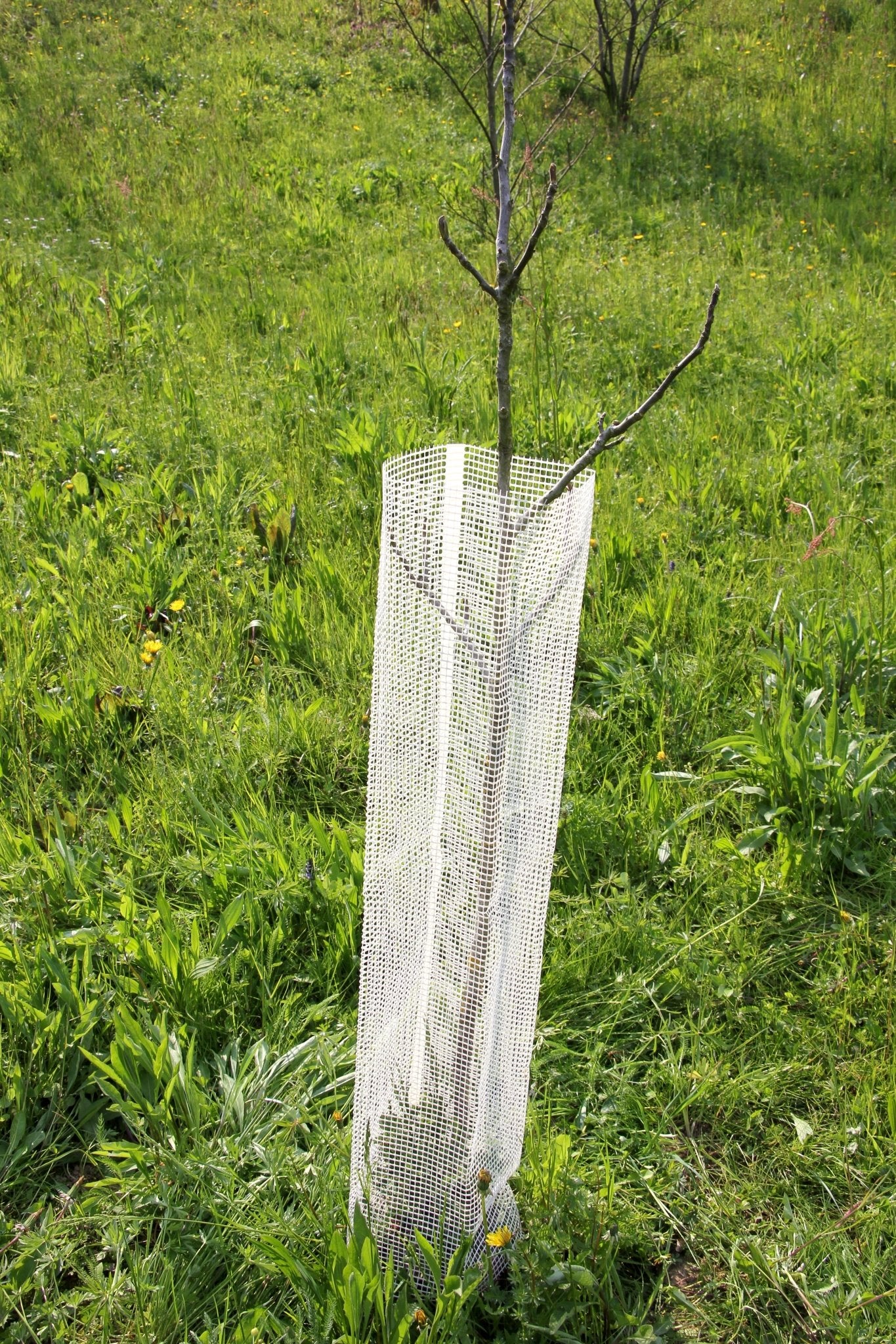 Shelter Bio SilTech 200 – Protezione biodegradabile tecnica per impianti professionali - Diam. 200mm - Arbri Store