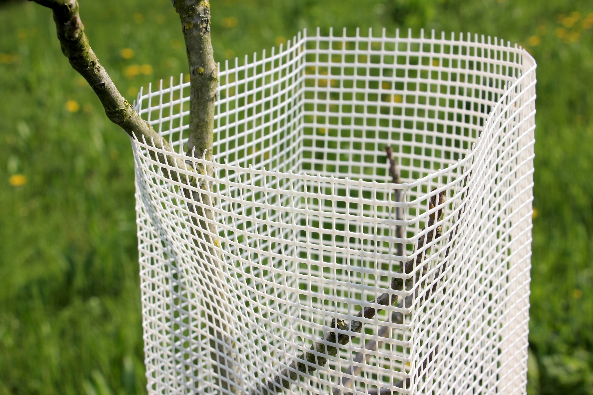 Shelter Bio SilTech 200 – Protezione biodegradabile tecnica per impianti professionali - Diam. 200mm - Arbri Store