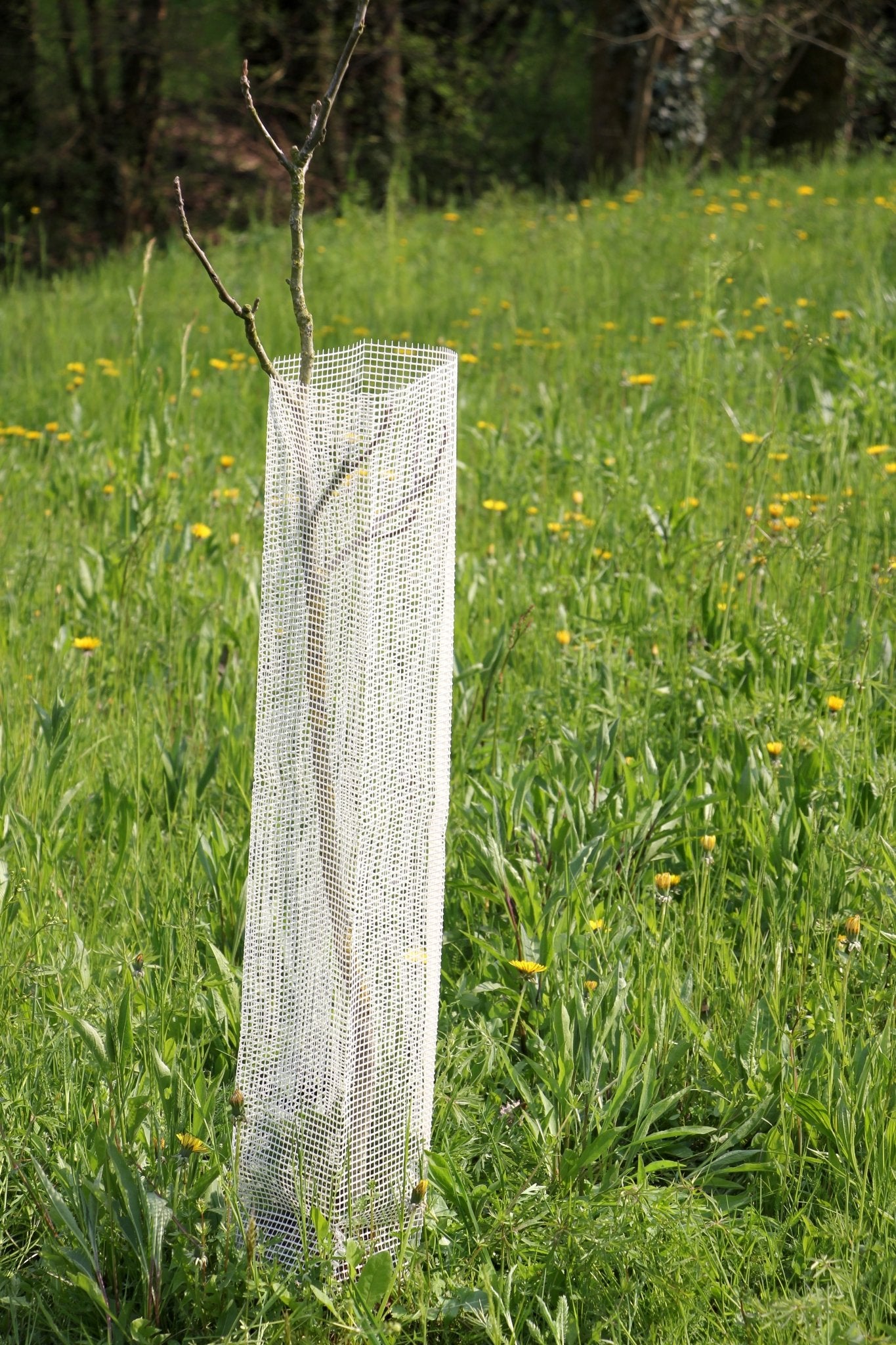 Shelter Bio SilTech 200 – Protezione biodegradabile tecnica per impianti professionali - Diam. 200mm - Arbri Store