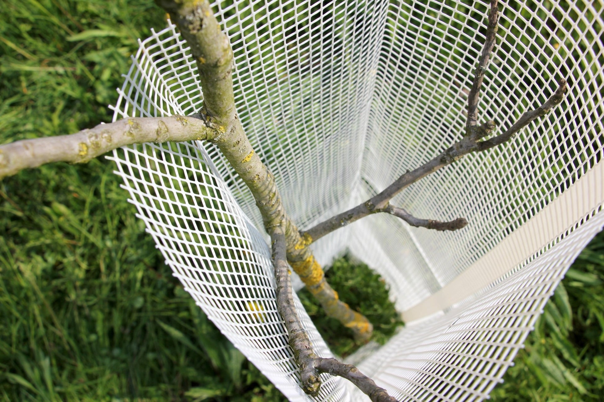 Shelter Bio SilTech 200 – Protezione biodegradabile tecnica per impianti professionali - Diam. 200mm - Arbri Store