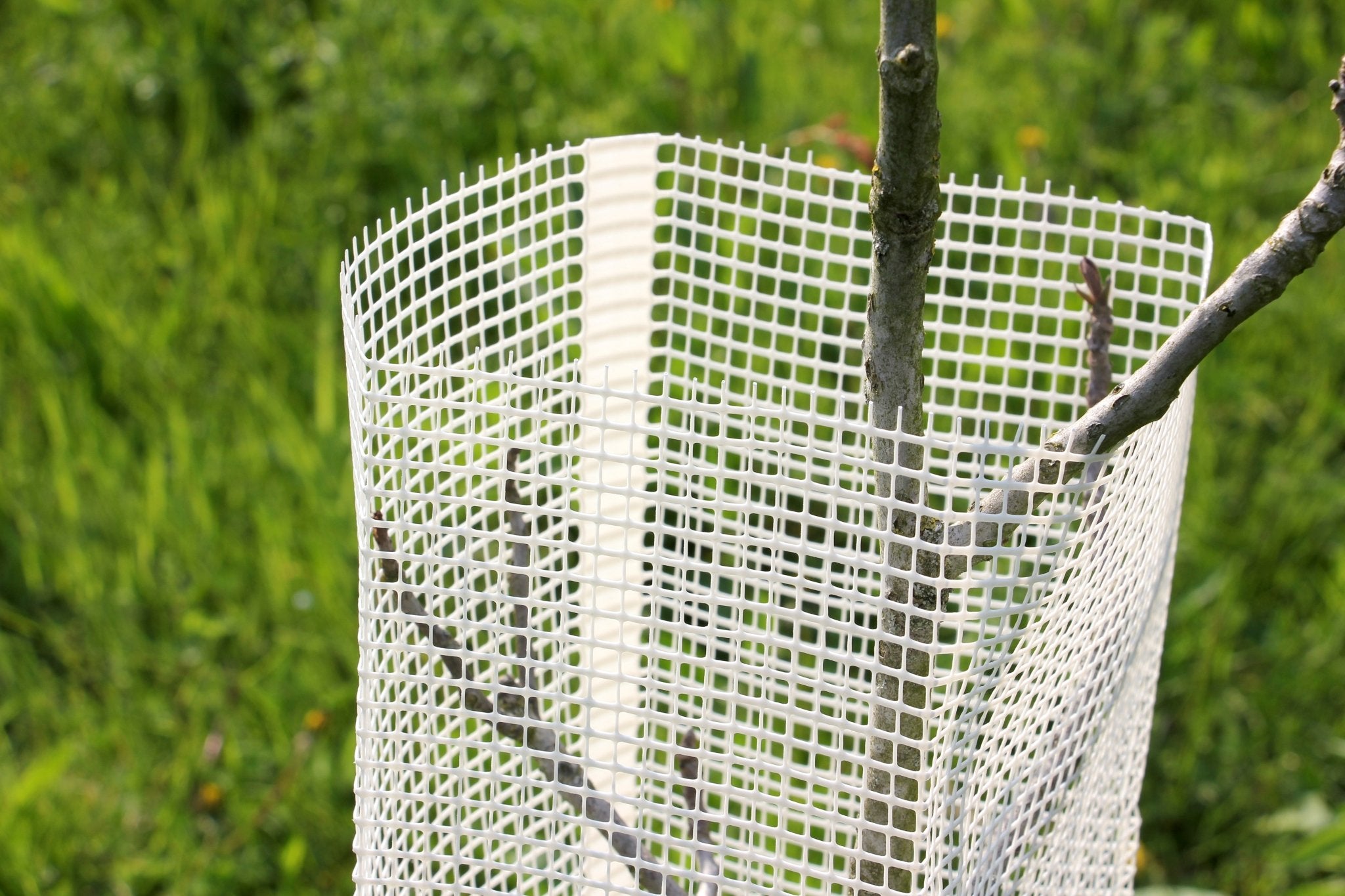 Shelter Bio SilTech 200 – Protezione biodegradabile tecnica per impianti professionali - Diam. 200mm - Arbri Store