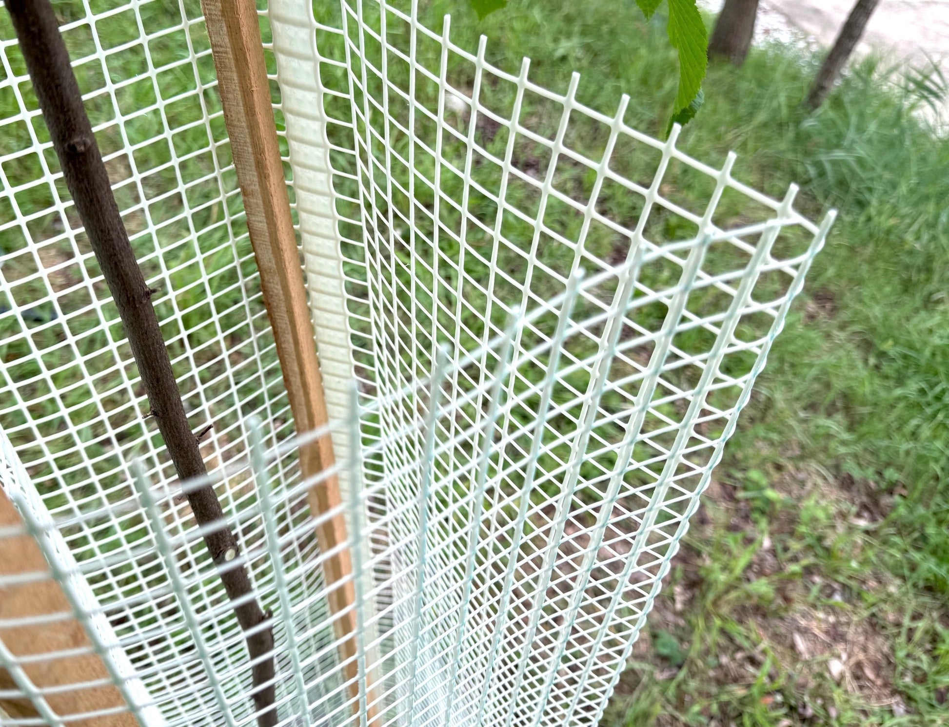 Shelter Bio SilTech 300 – Massima protezione biodegradabile per impianti forestali - Diam. 300mm