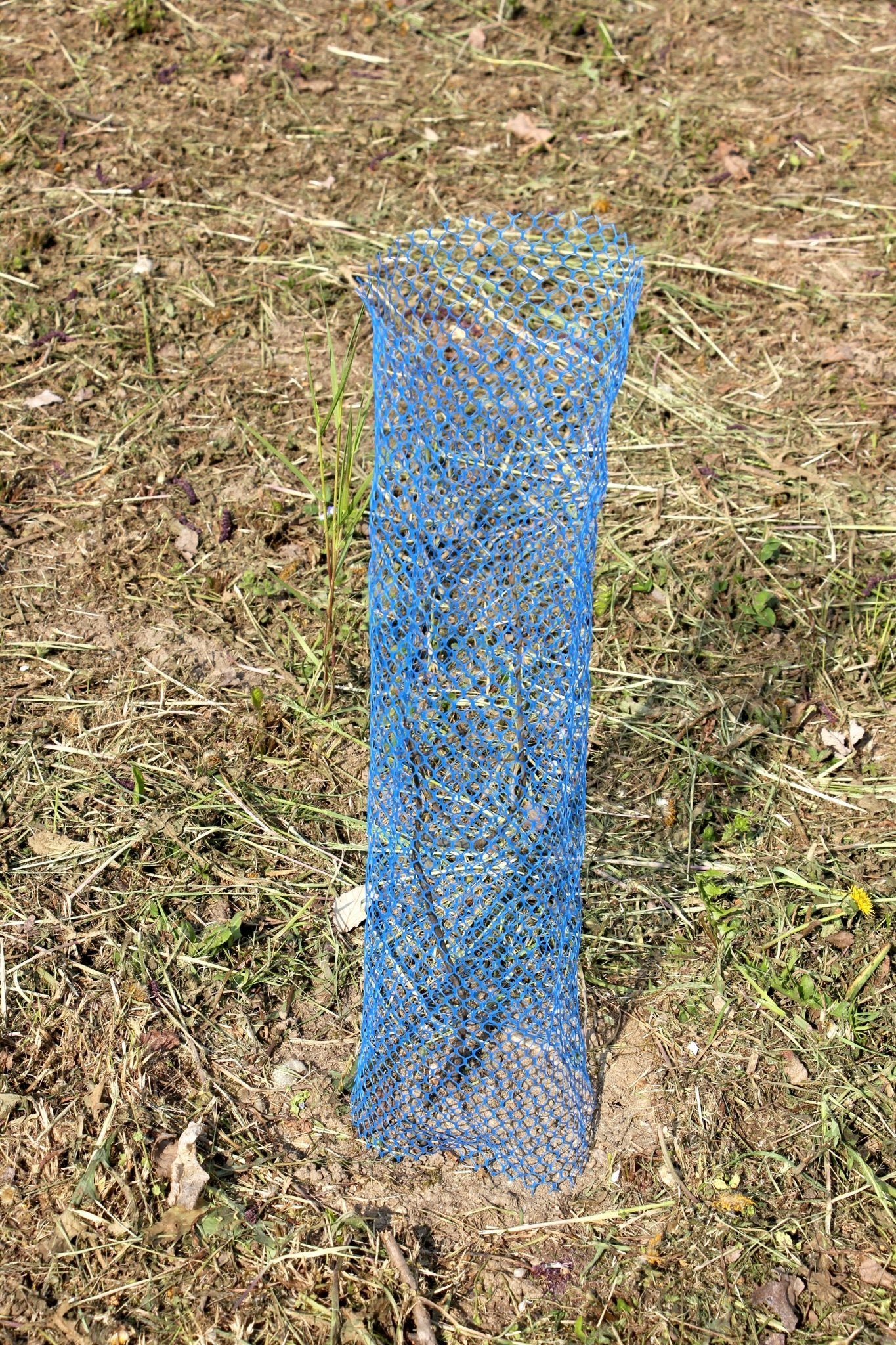 Shelter LAPIN – Rete protettiva in PE per giovani piante - Diam. 140mm - Arbri Store - Supporti per piante