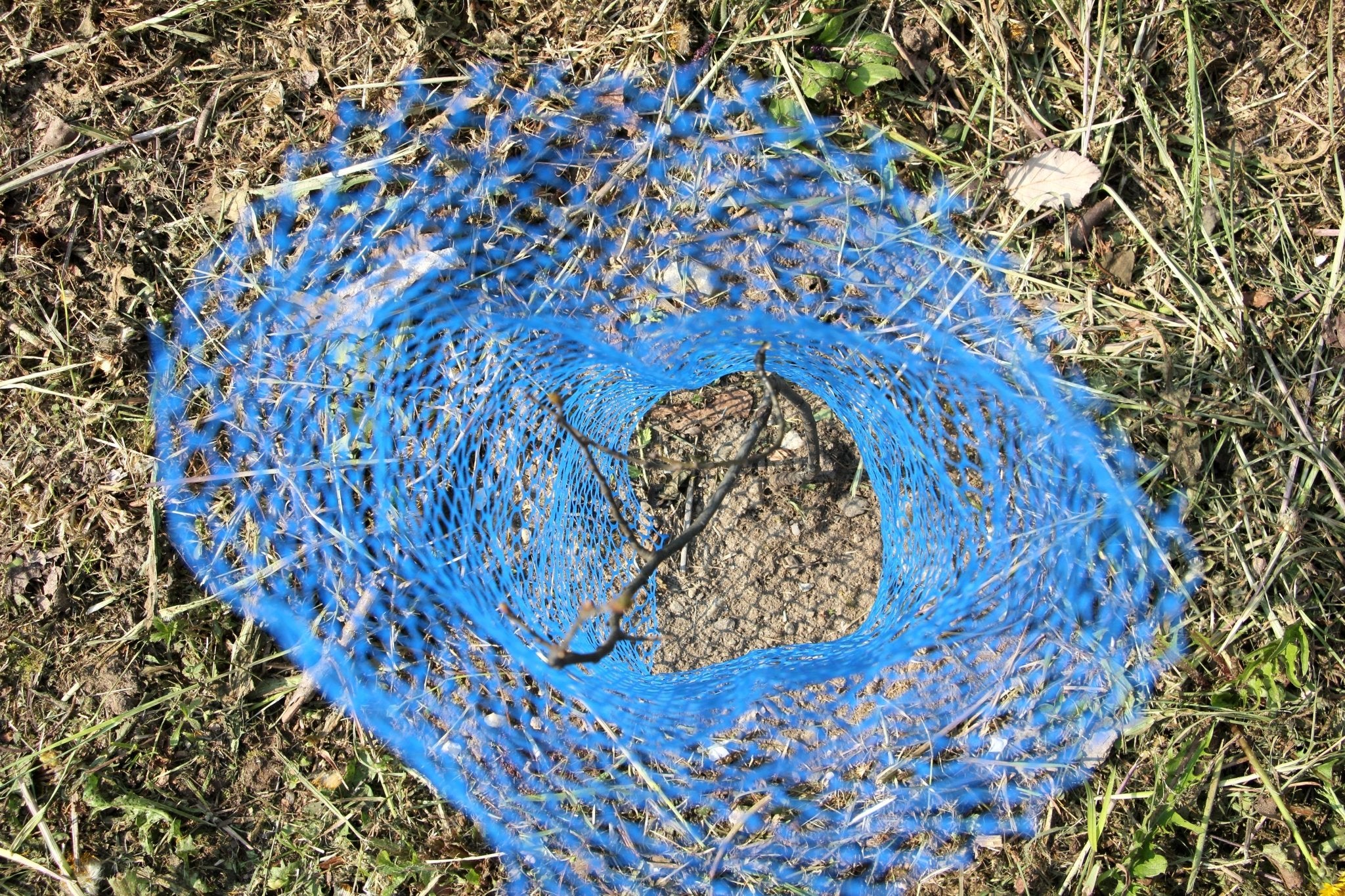 Shelter LAPIN – Rete protettiva in PE per giovani piante - Diam. 140mm - Arbri Store - Supporti per piante