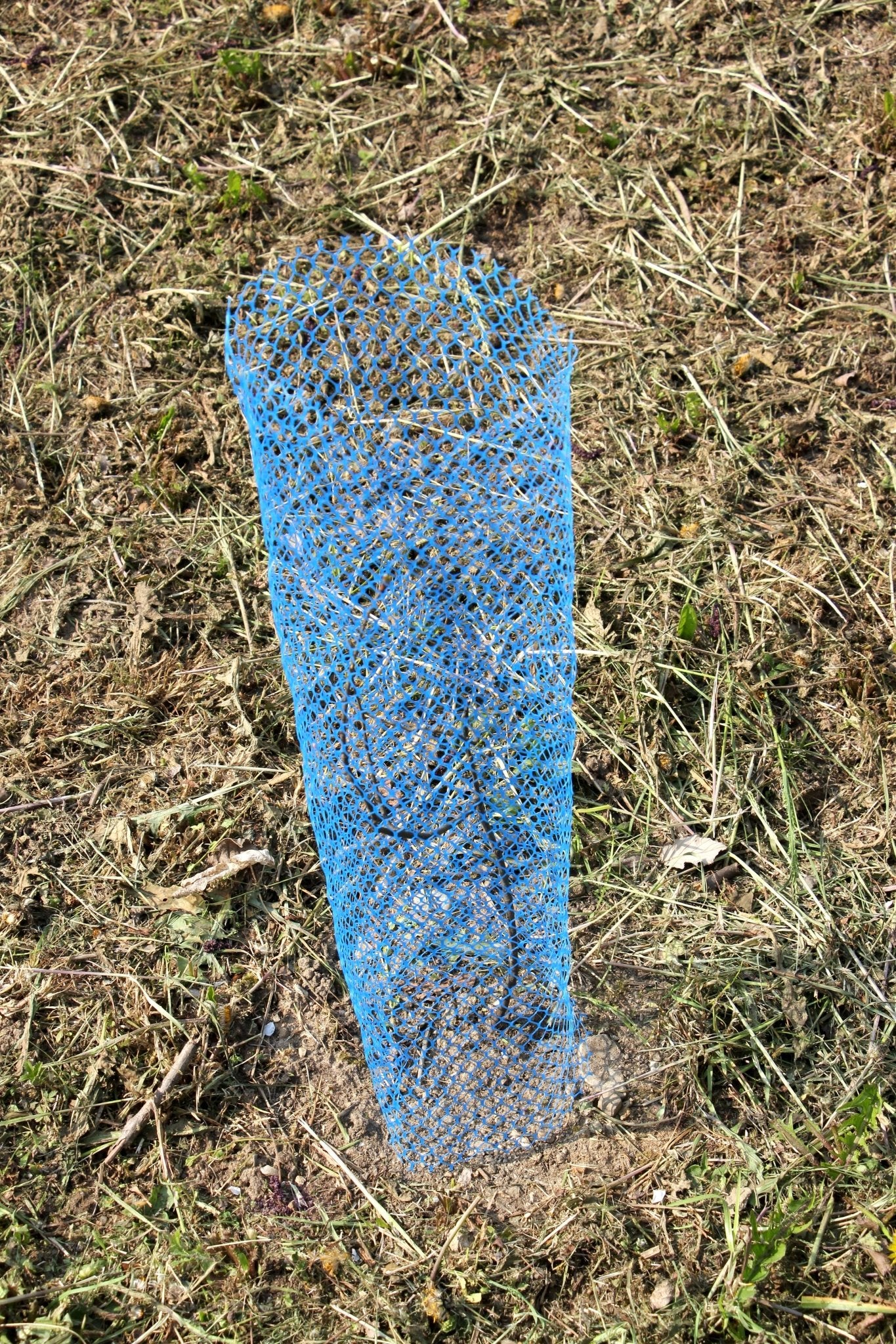 Shelter LAPIN – Rete protettiva in PE per giovani piante - Diam. 140mm - Arbri Store - Supporti per piante