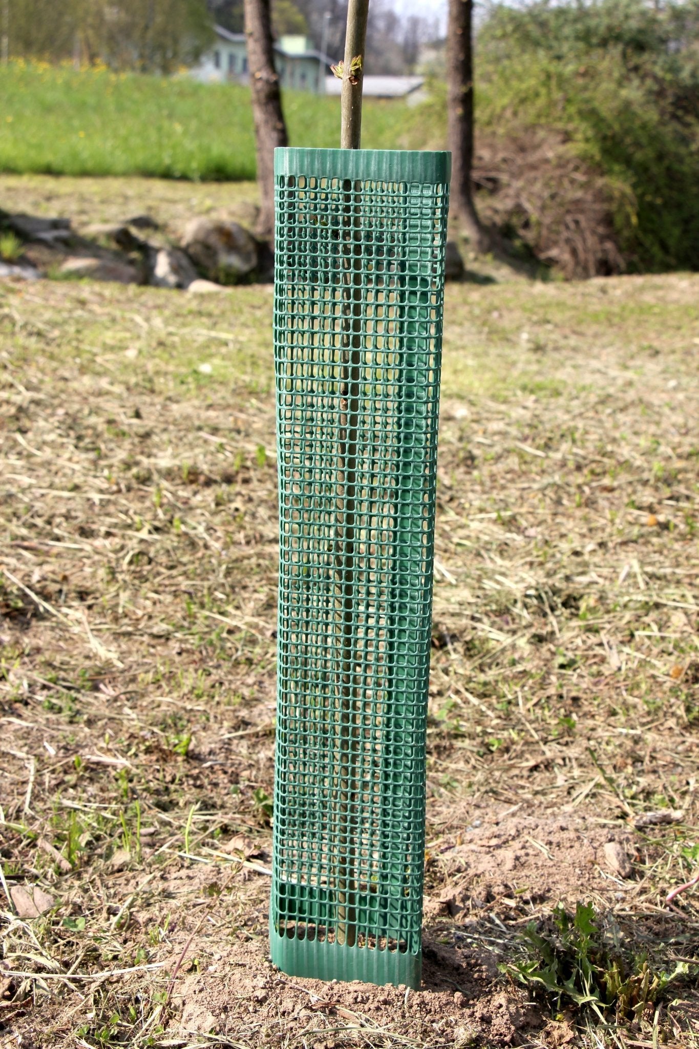 Shelter SilTech 120 – Shelter ad alta resistenza per impianti frutticoli e forestali - Diam. 120mm - Arbri Store