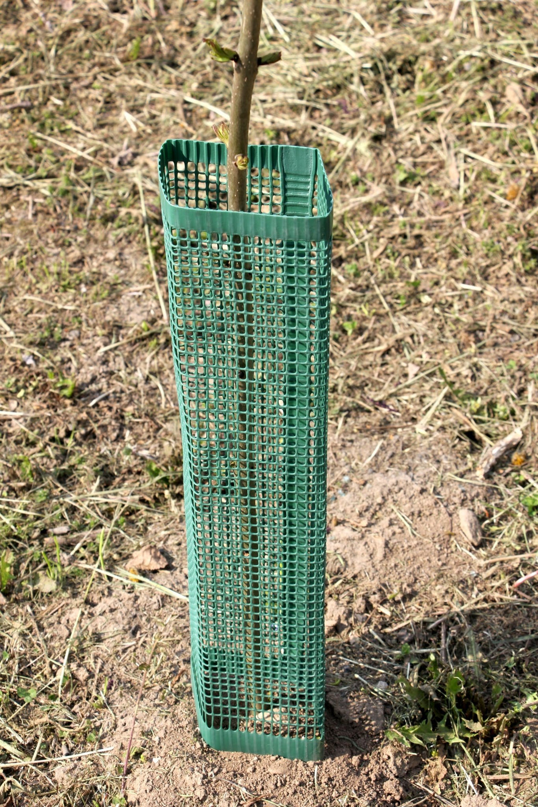Shelter SilTech 120 – Shelter ad alta resistenza per impianti frutticoli e forestali - Diam. 120mm - Arbri Store
